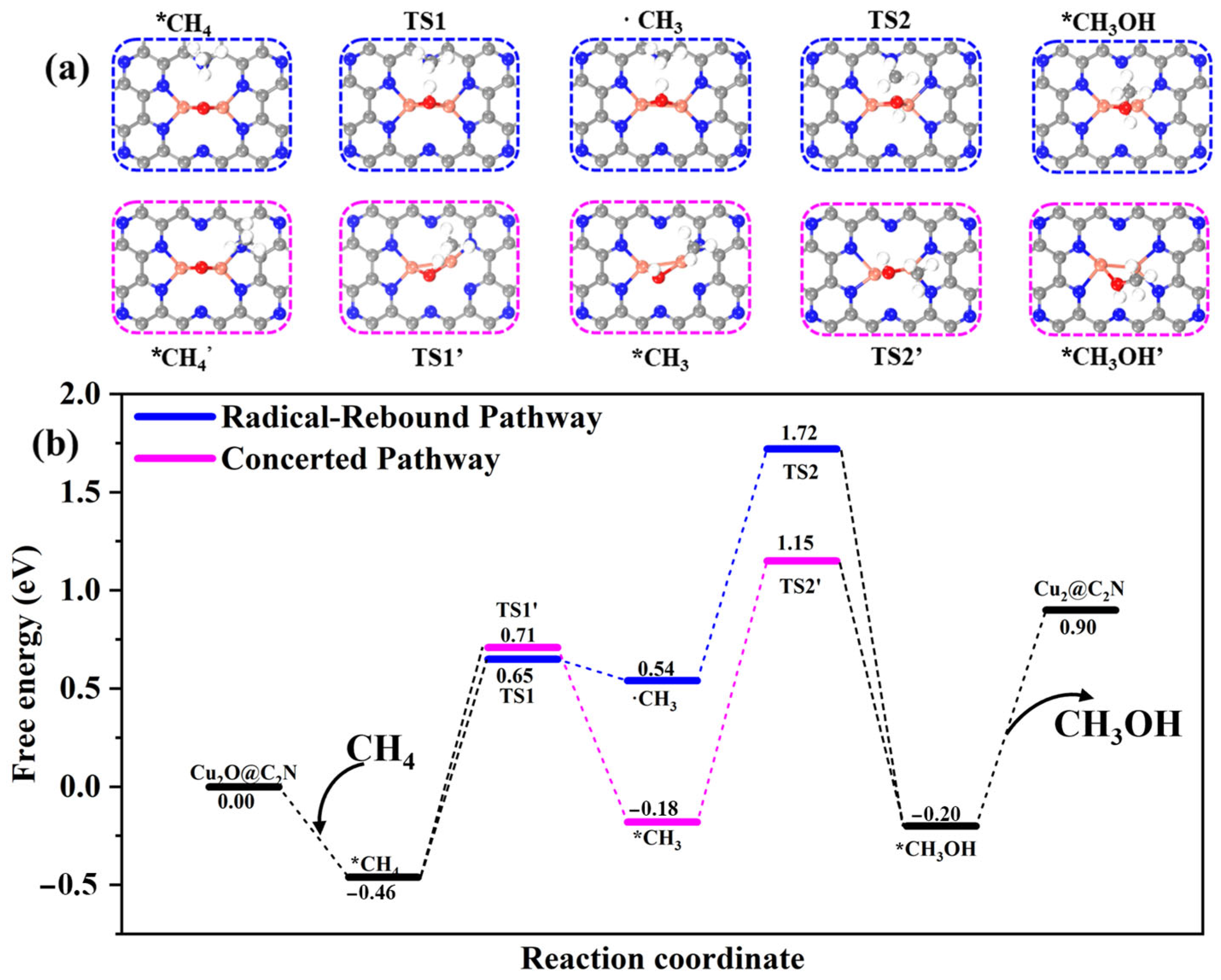 Molecules 30 03073 g004