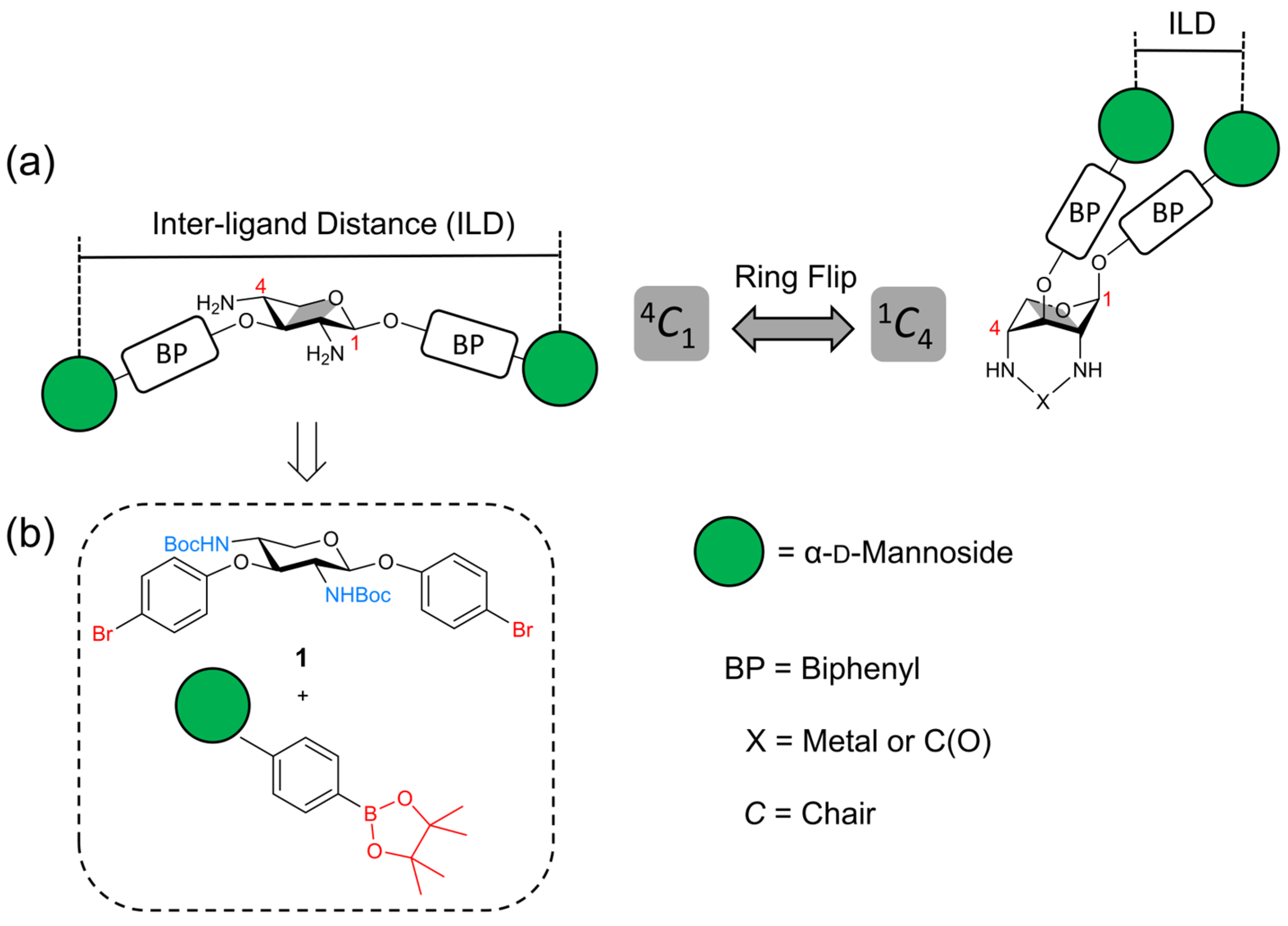 Molecules 30 03074 g001