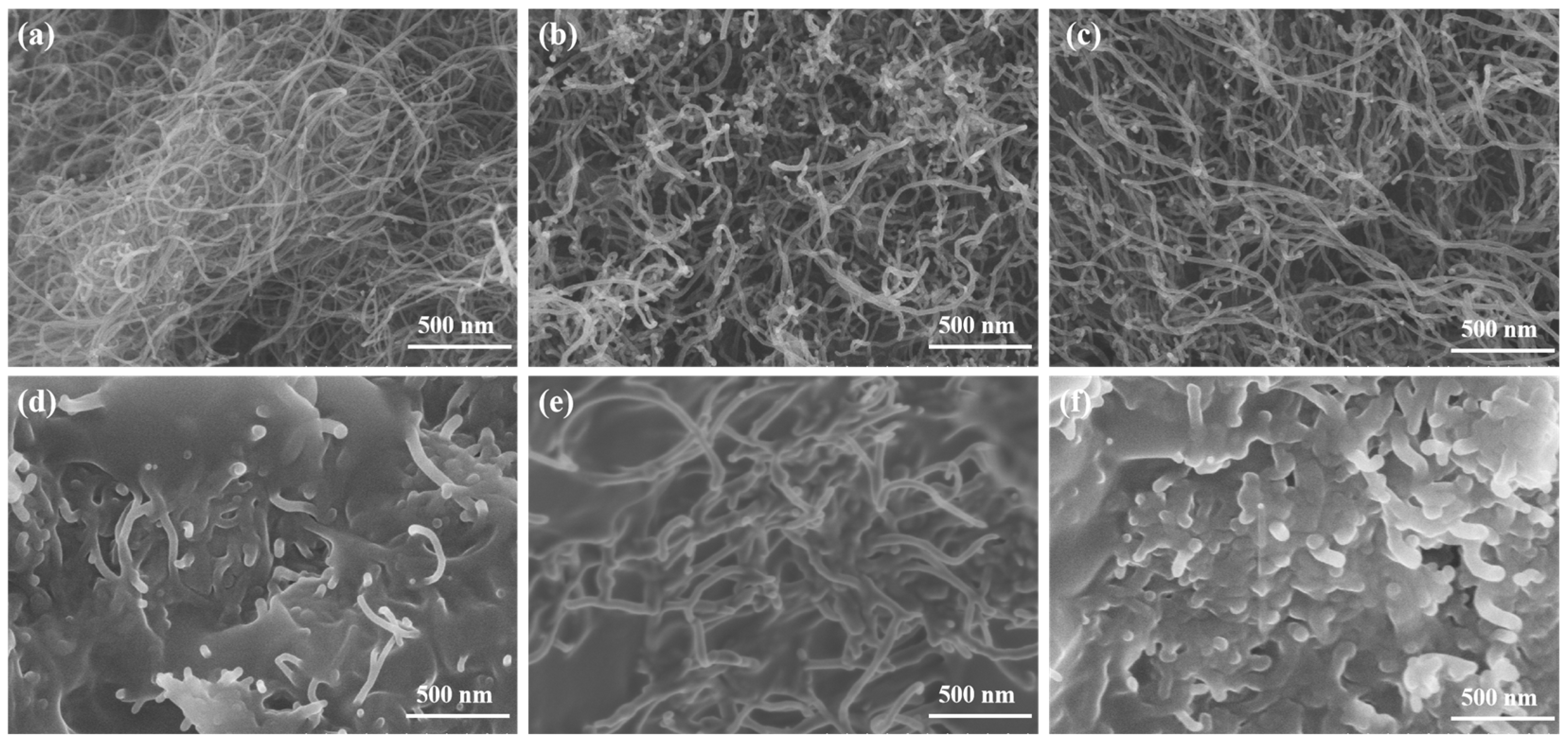 Molecules 30 03075 g001