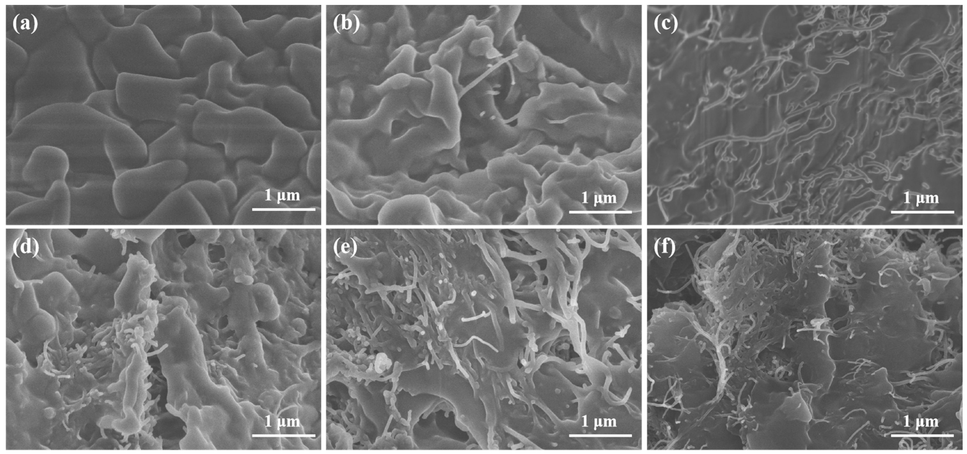 Molecules 30 03075 g002
