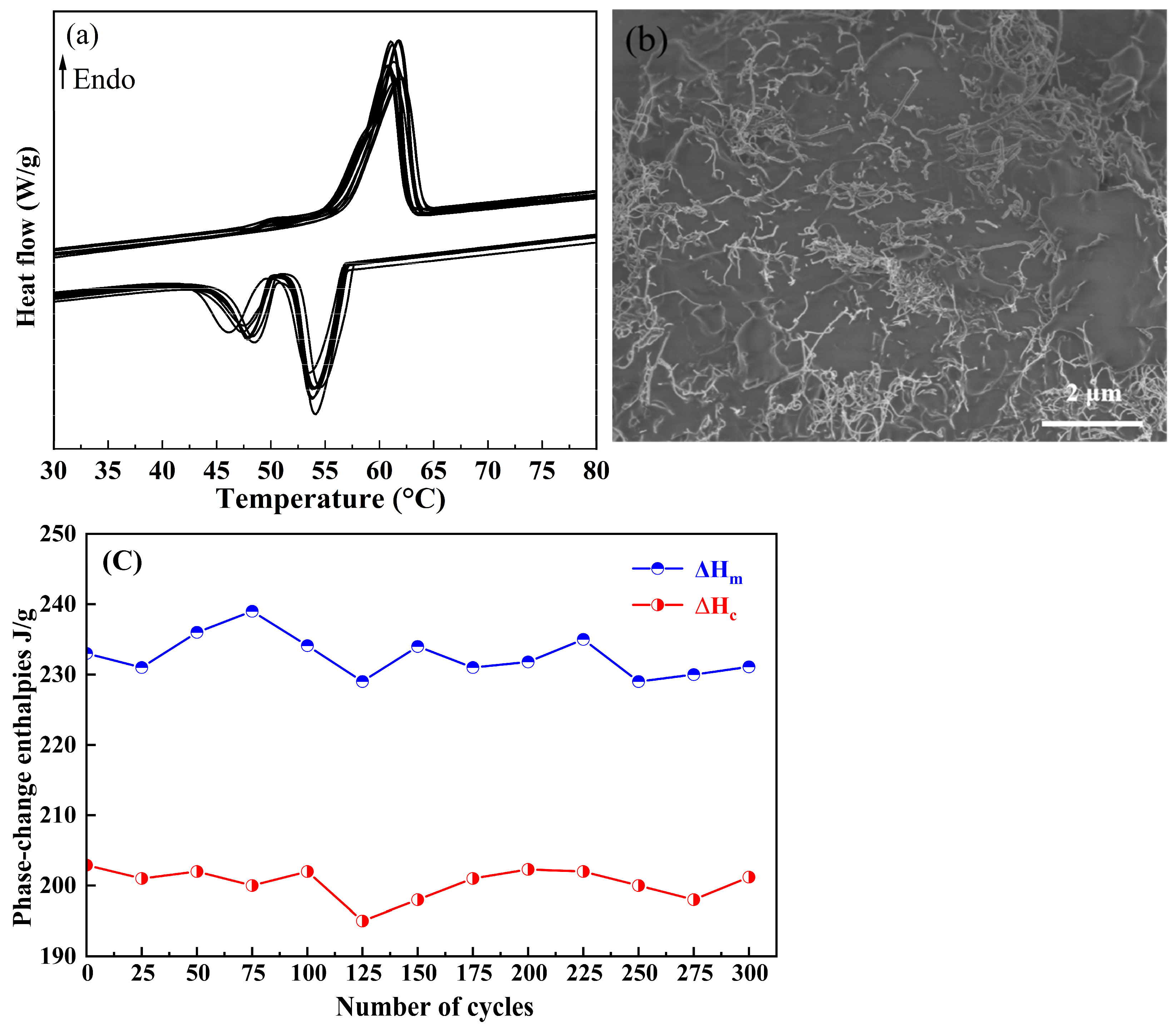 Molecules 30 03075 g008