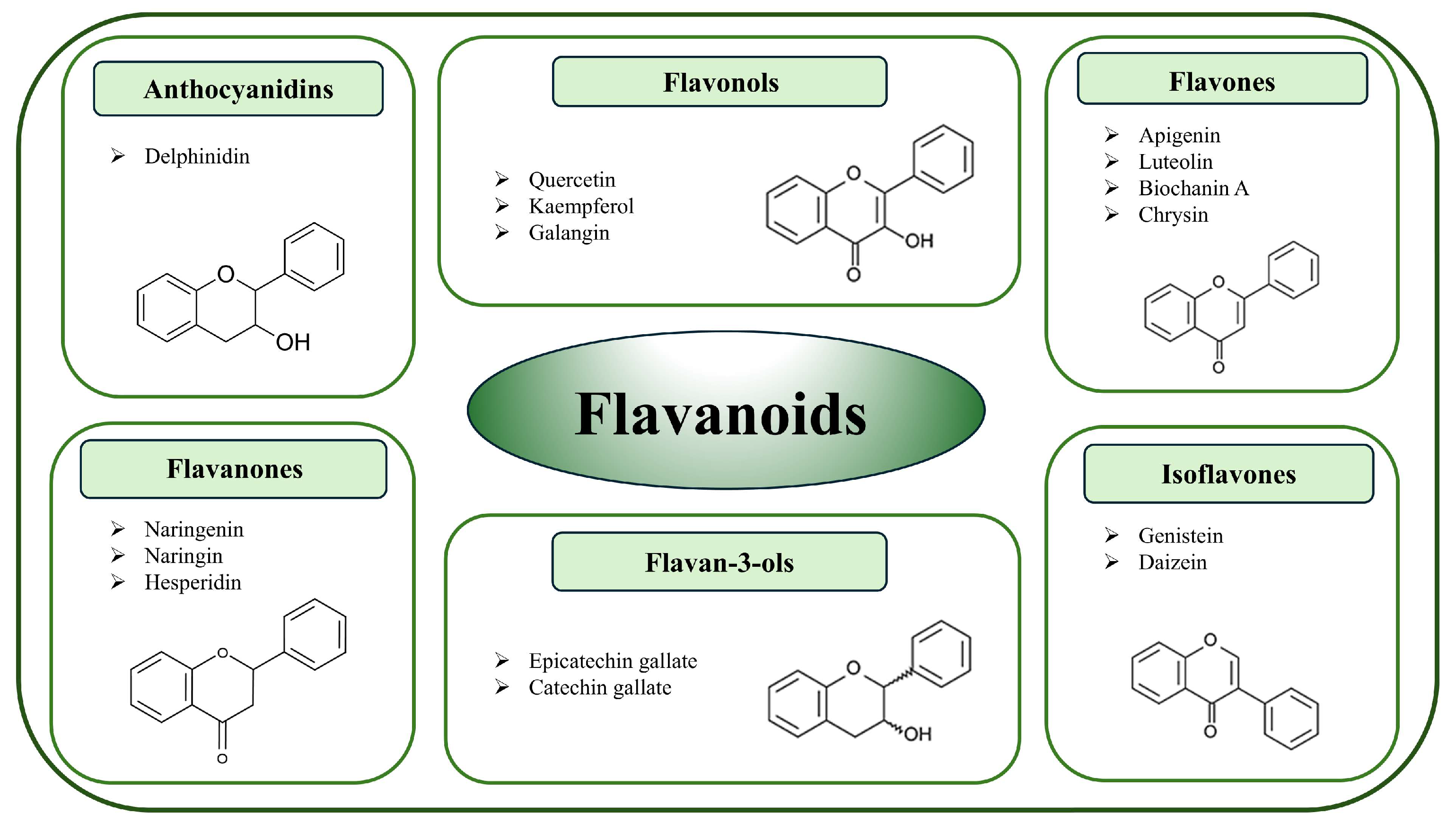 Molecules 30 03079 g002 Molecules 30 03079 g002