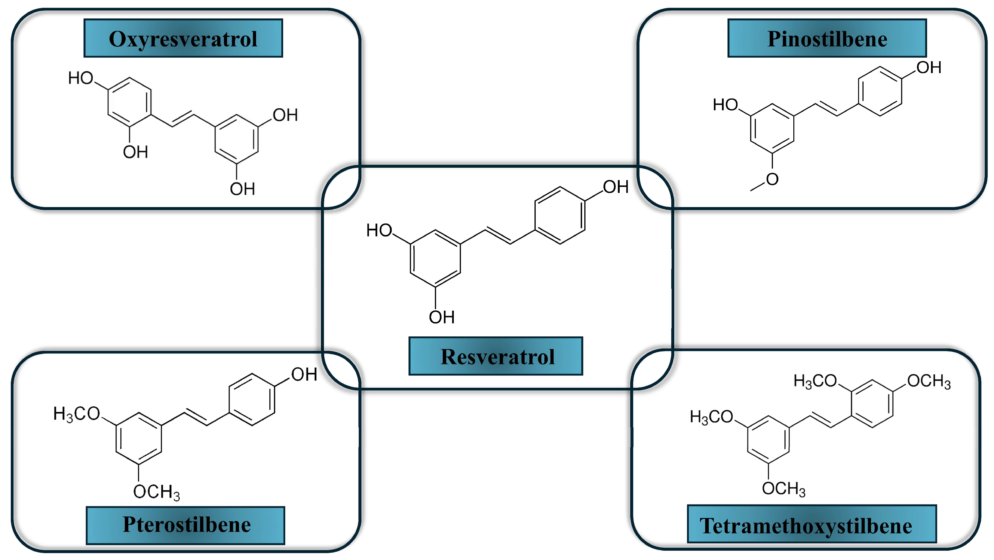 Molecules 30 03079 g003 Molecules 30 03079 g003