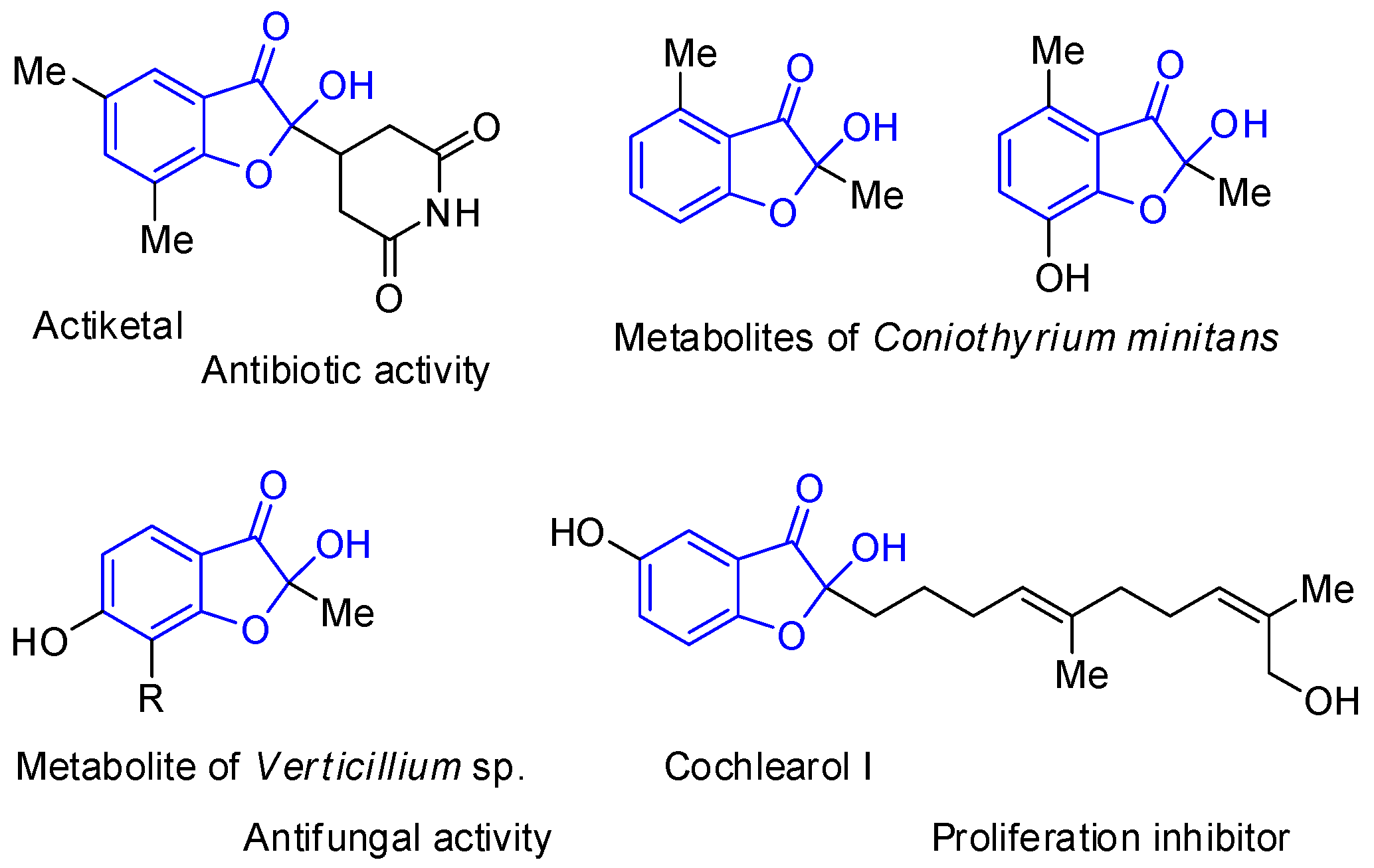 Molecules 30 03080 sch001 Molecules 30 03080 sch001