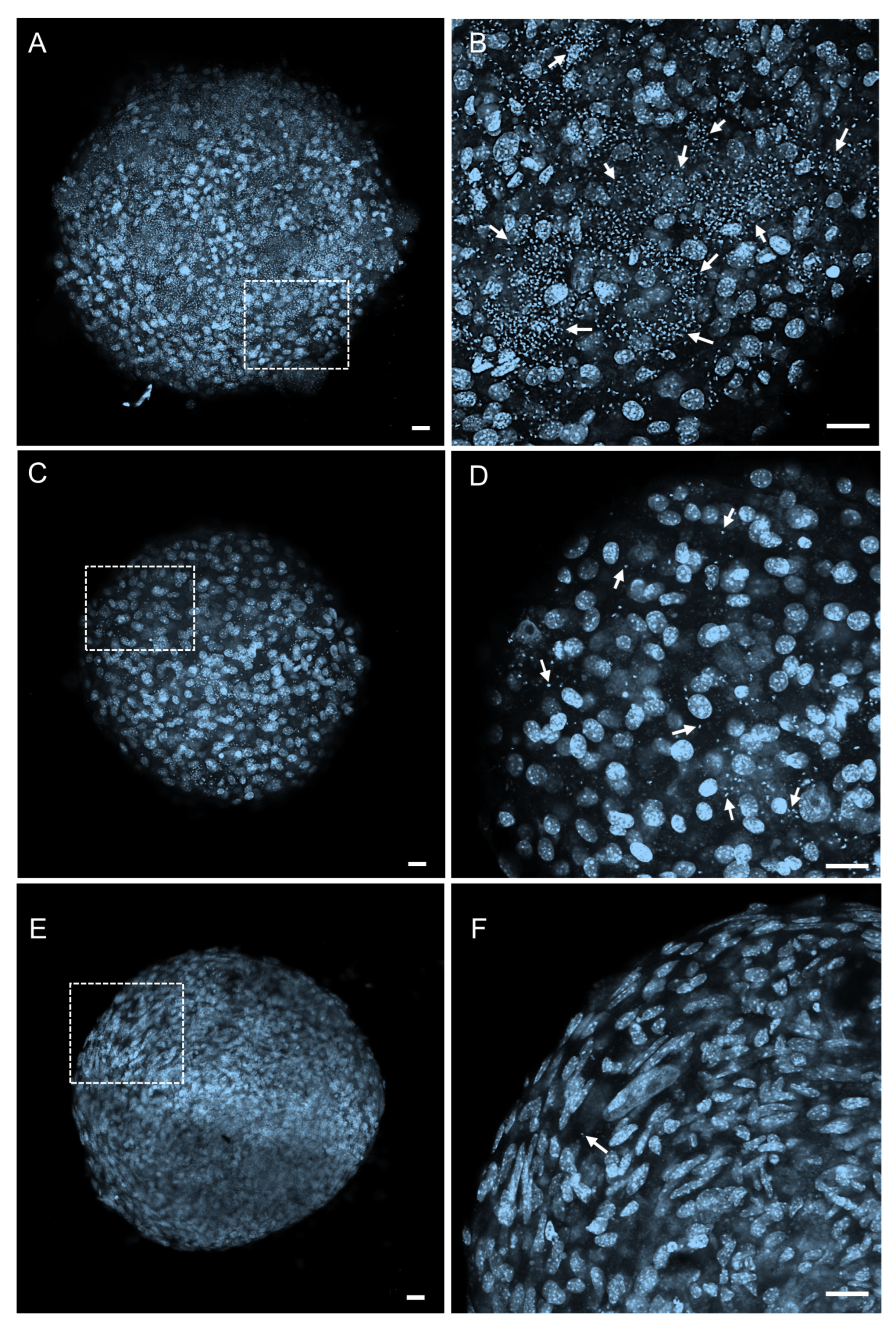 Molecules 30 03082 g002