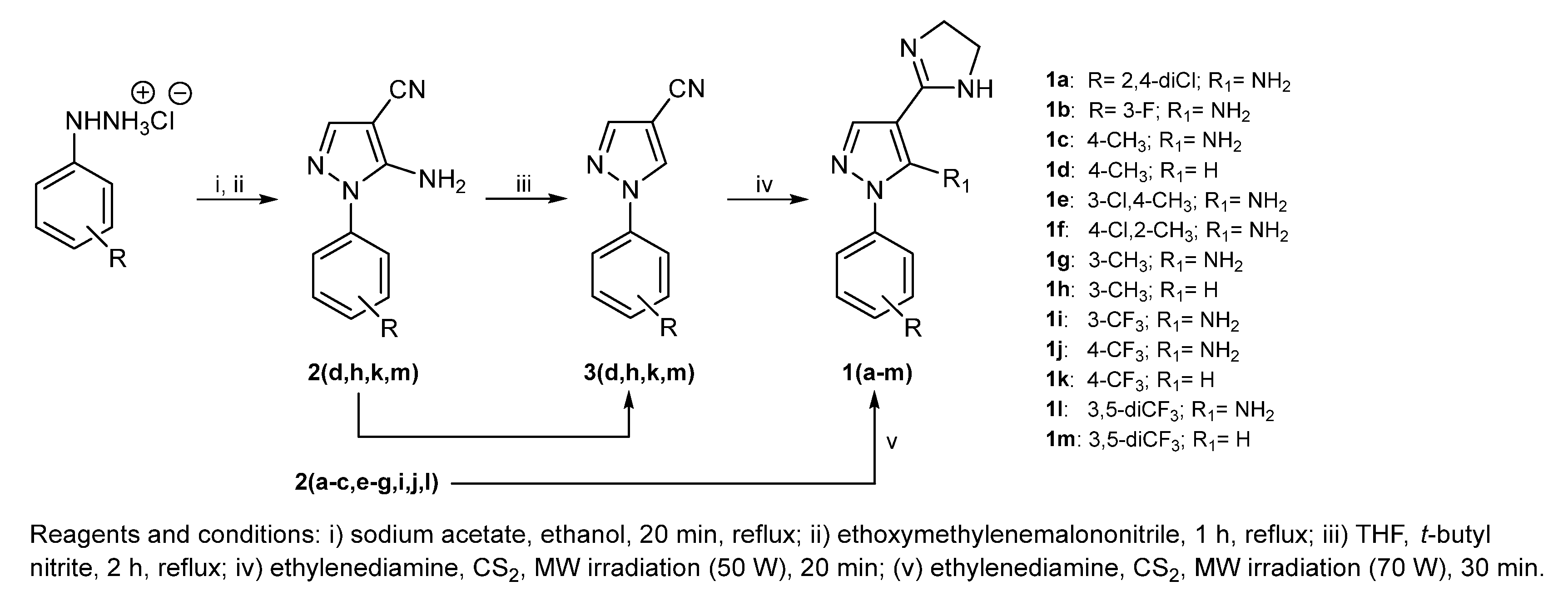 Molecules 30 03082 sch001