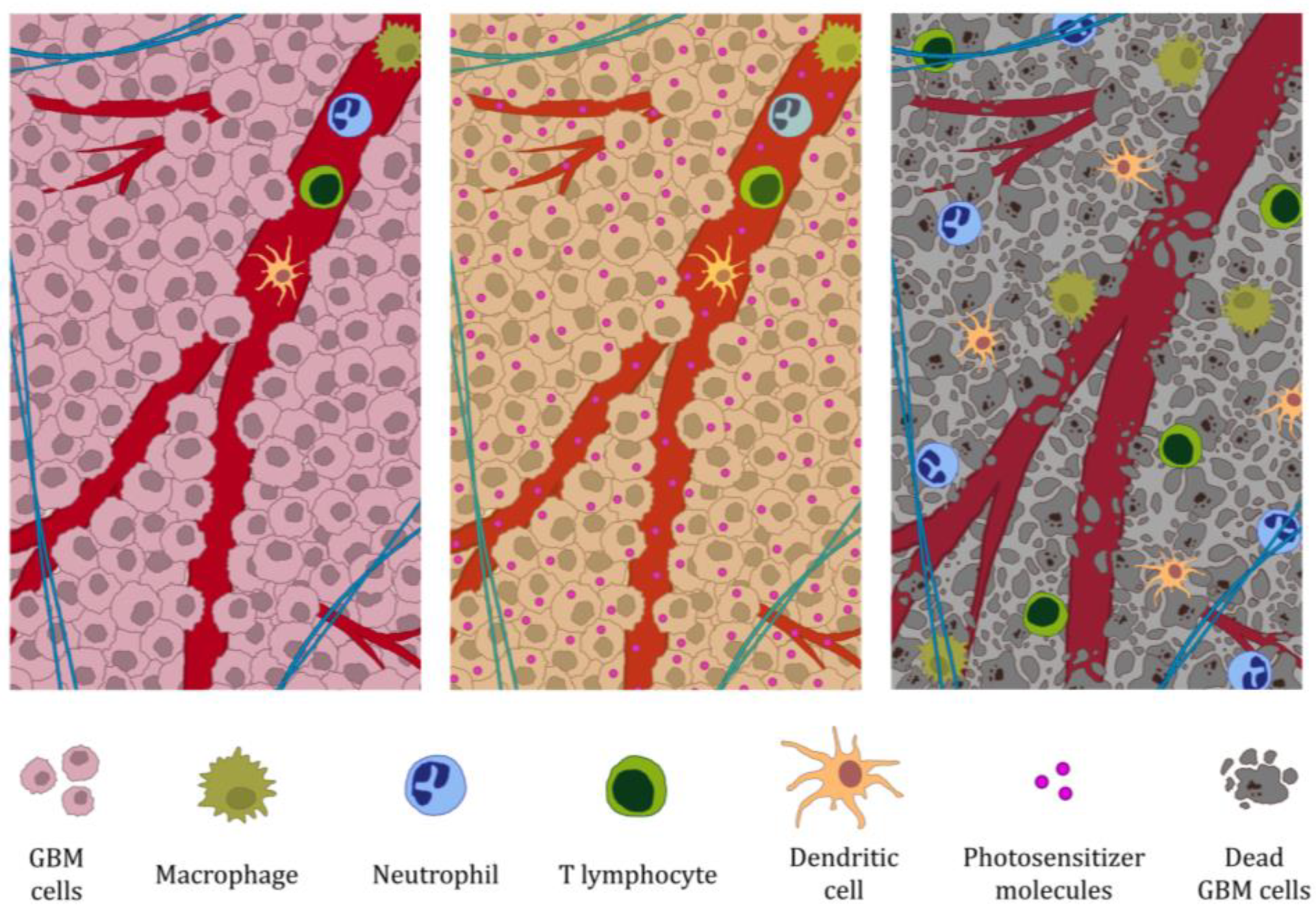 Molecules 30 03091 g001