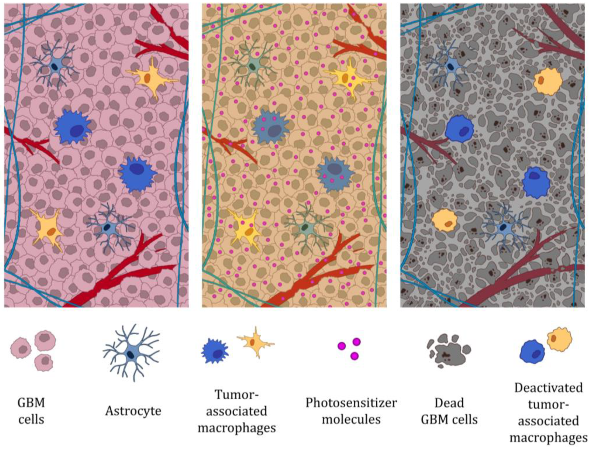 Molecules 30 03091 g002