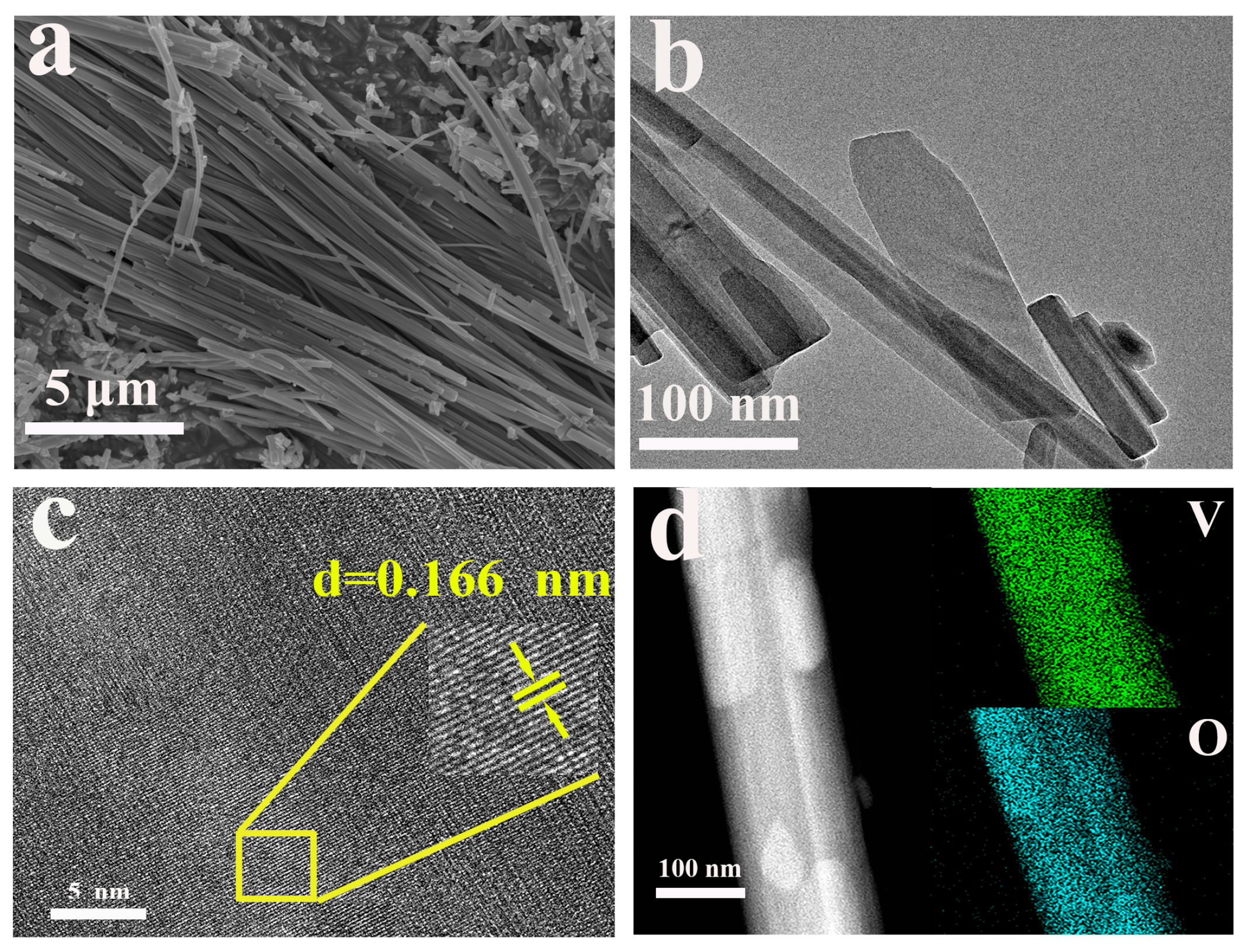Molecules 30 03092 g008