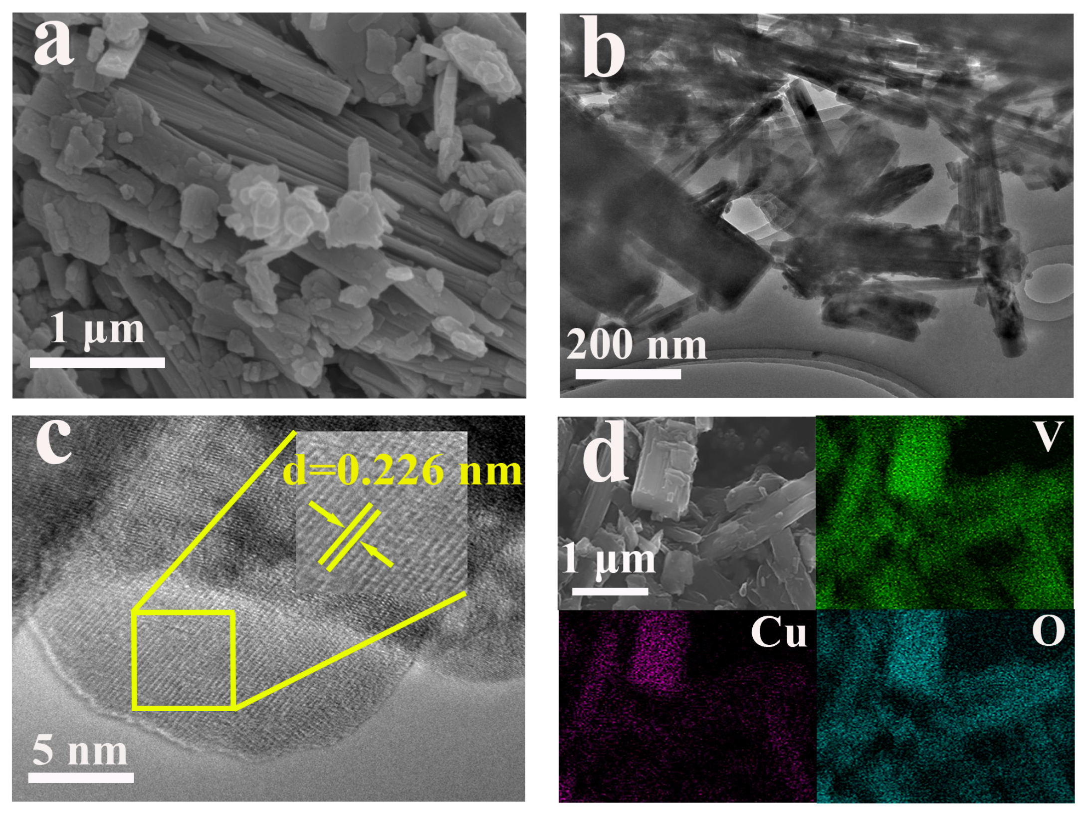 Molecules 30 03092 g009