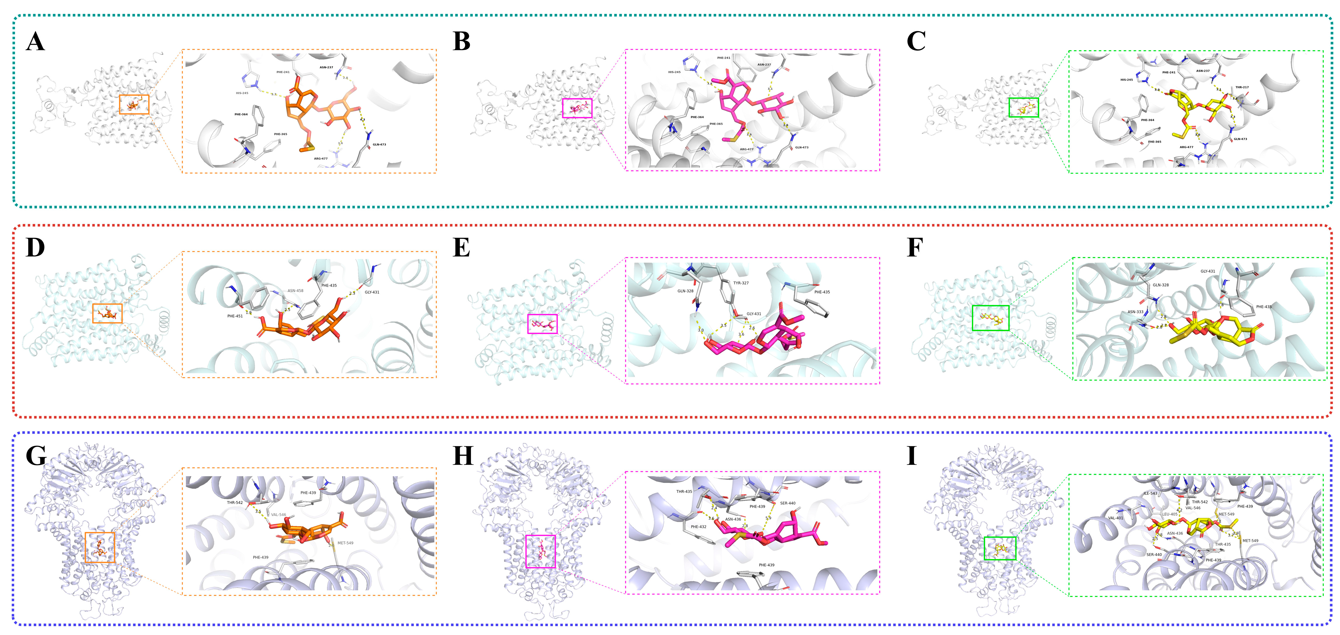 Molecules 30 03098 g008