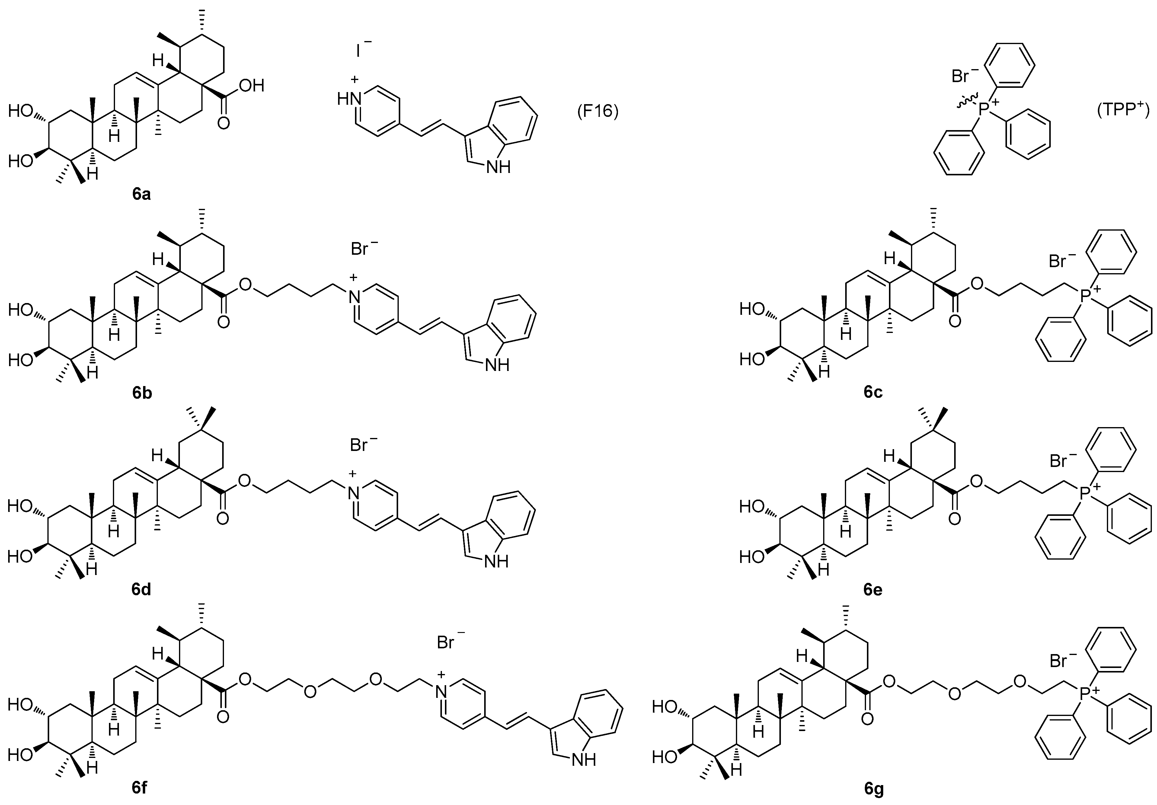 Molecules 30 03106 g006
