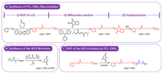 清水 The spatiotemporal heterogeneity of reactive oxygen species