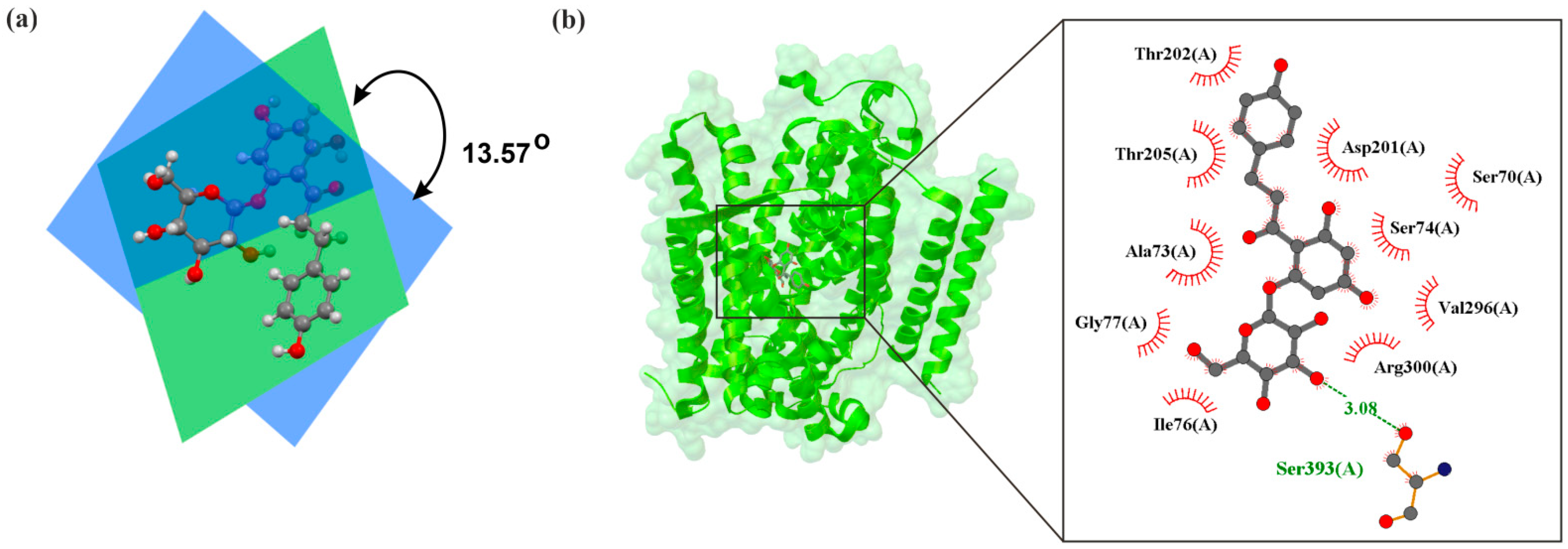 Molecules 30 03112 g003