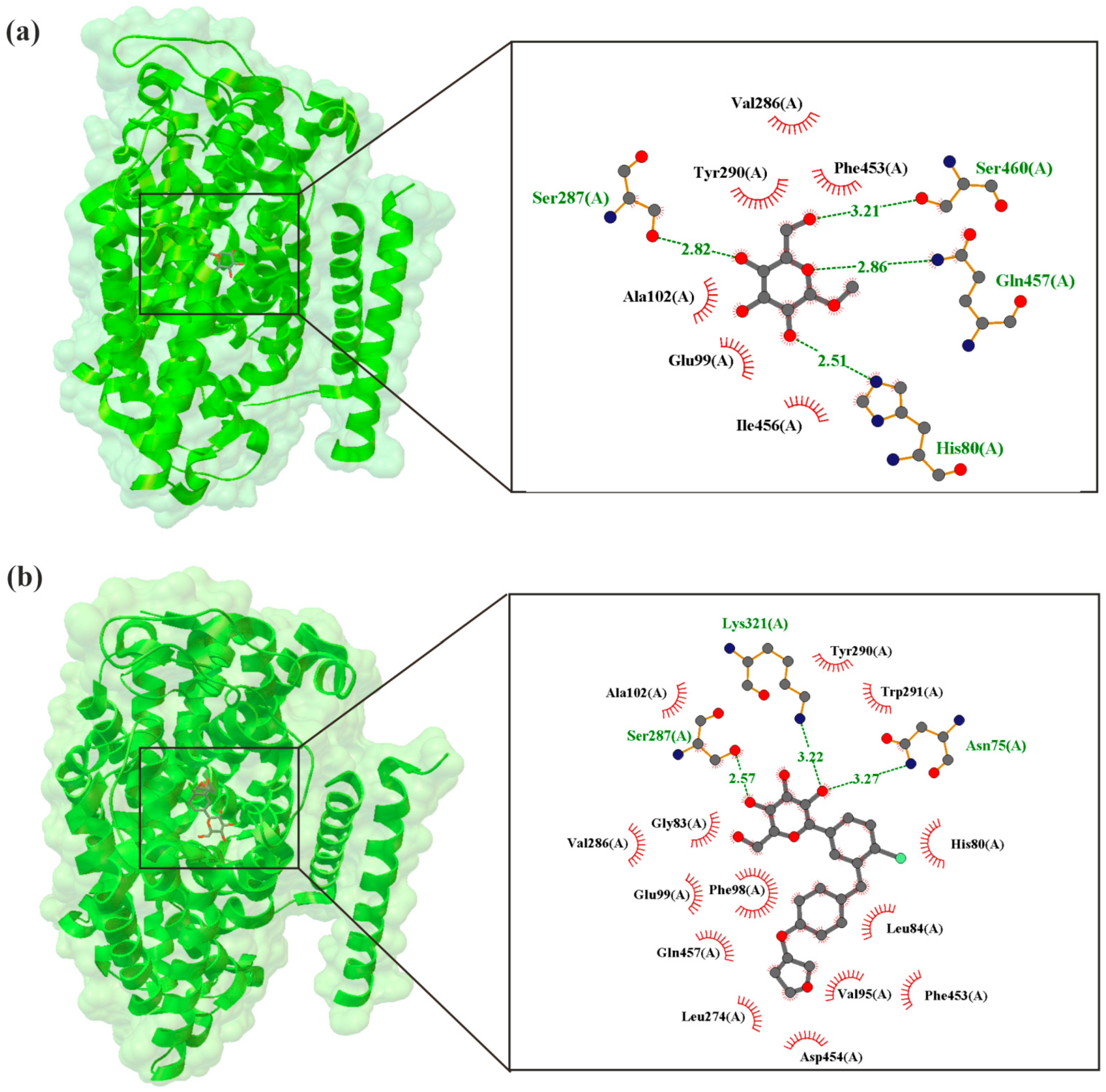 Molecules 30 03112 g004