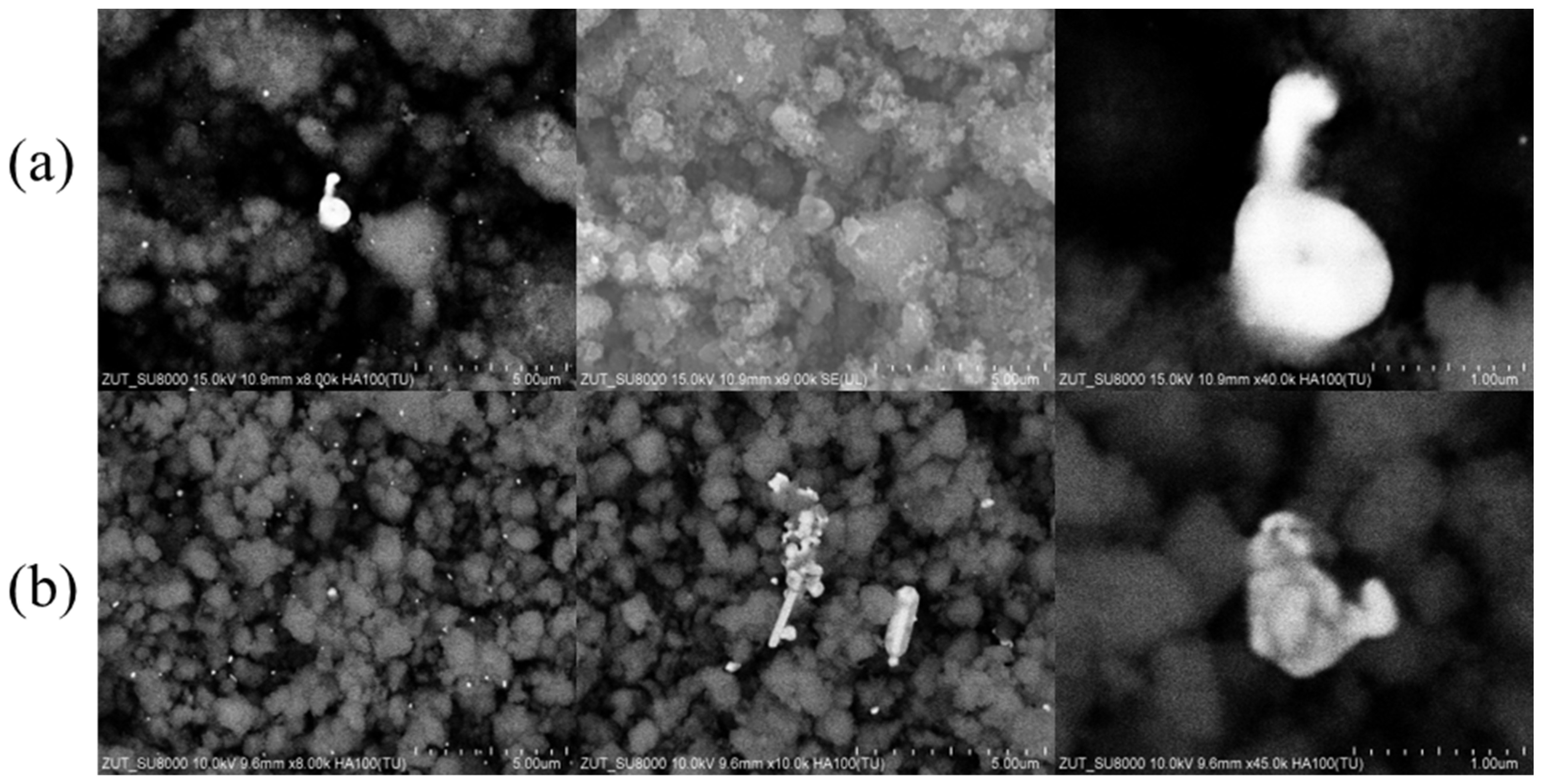 Molecules 30 03118 g001