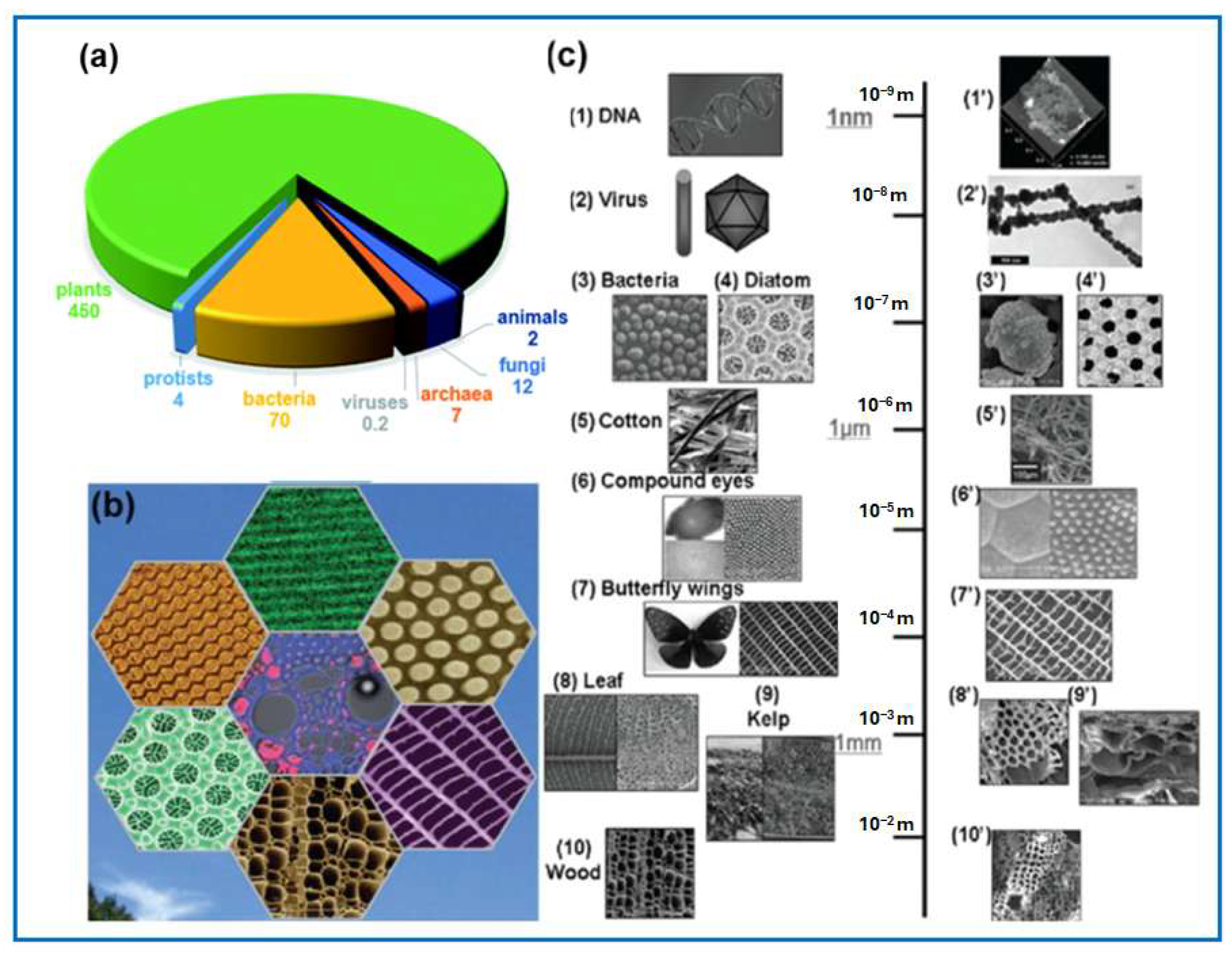 Molecules 30 03125 g002