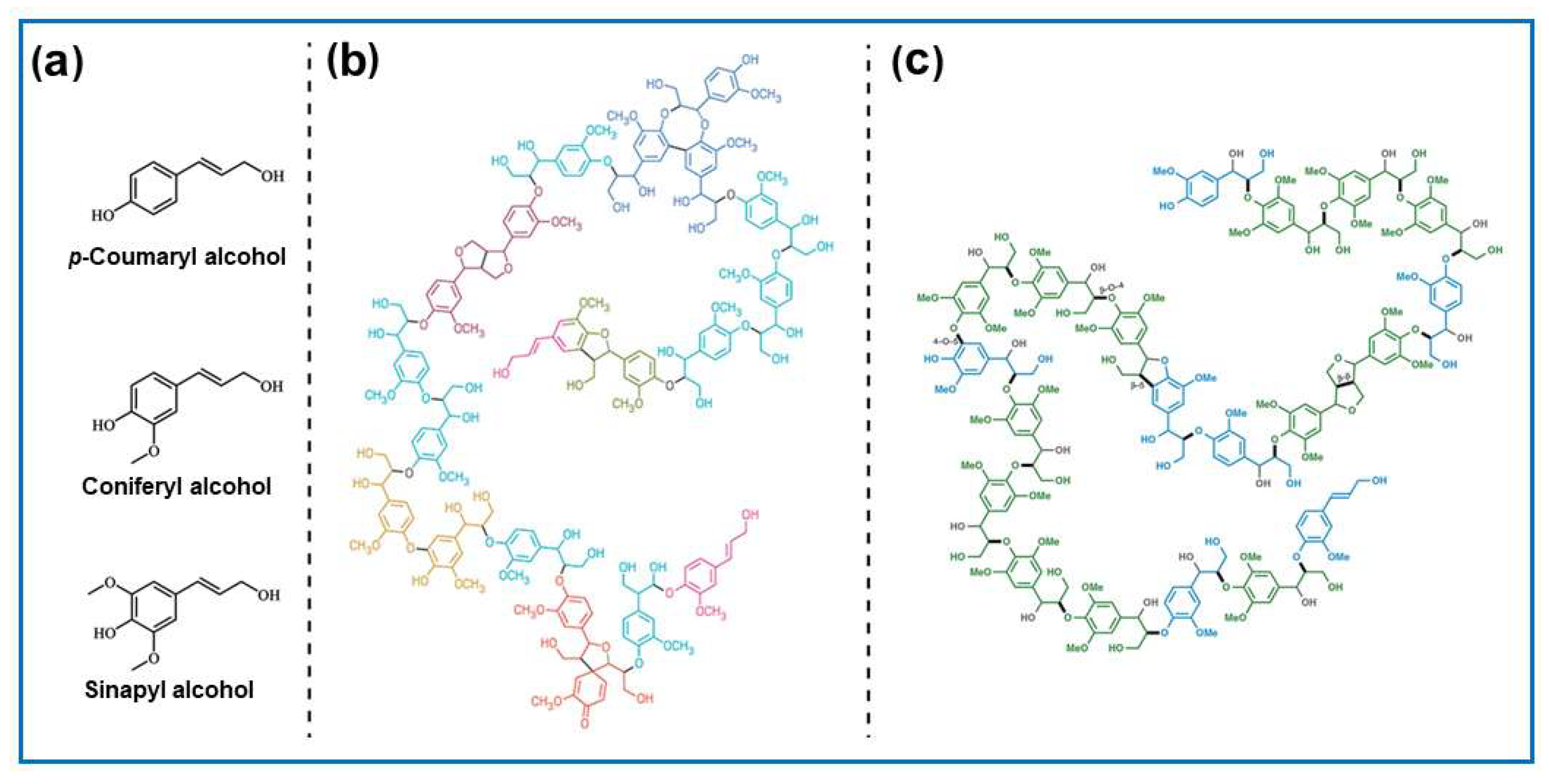 Molecules 30 03125 g004