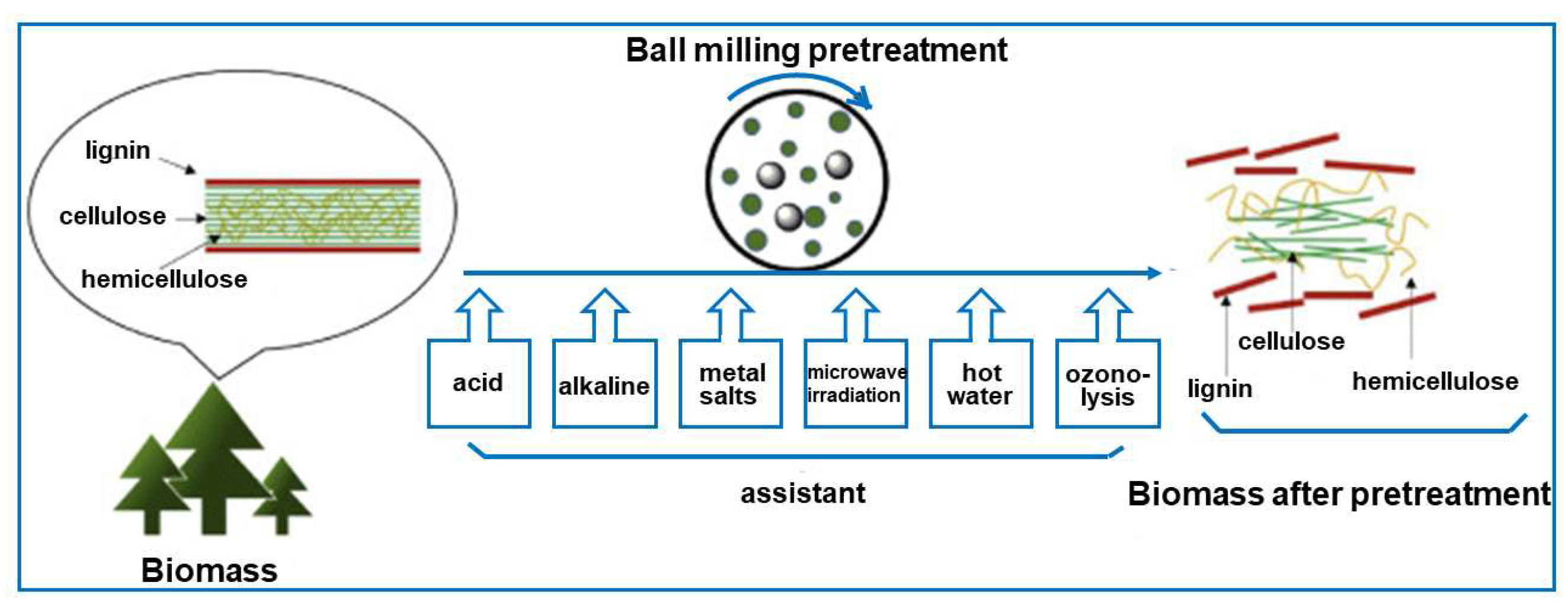Molecules 30 03125 g005