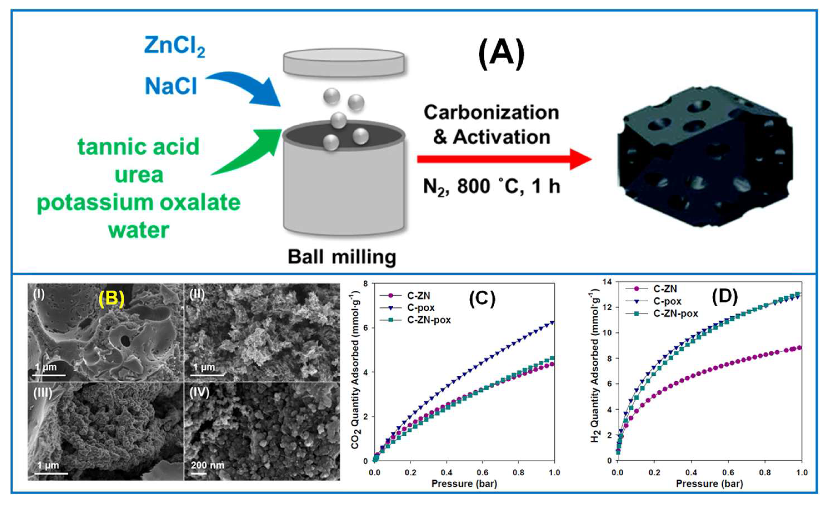 Molecules 30 03125 g007