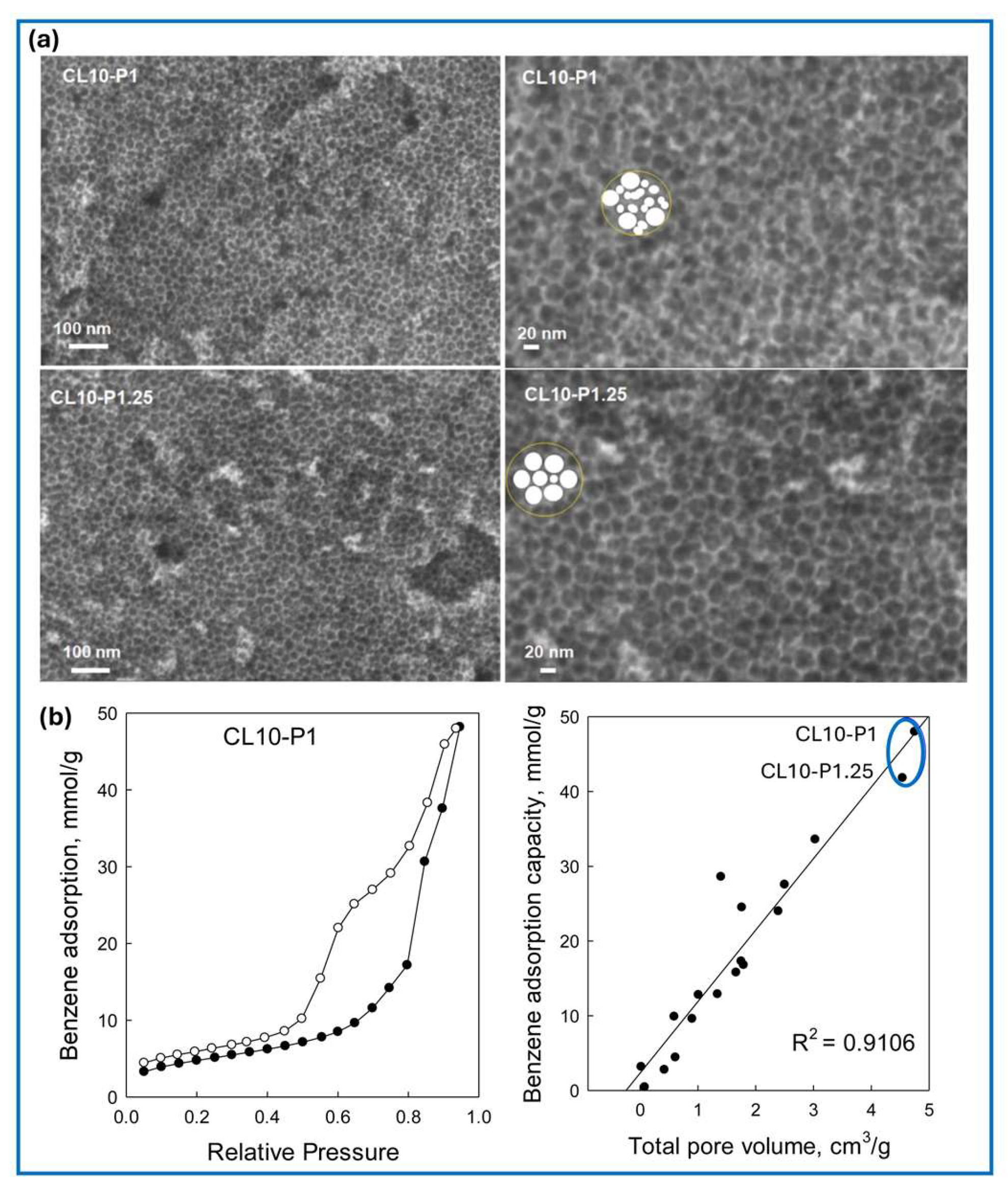 Molecules 30 03125 g008
