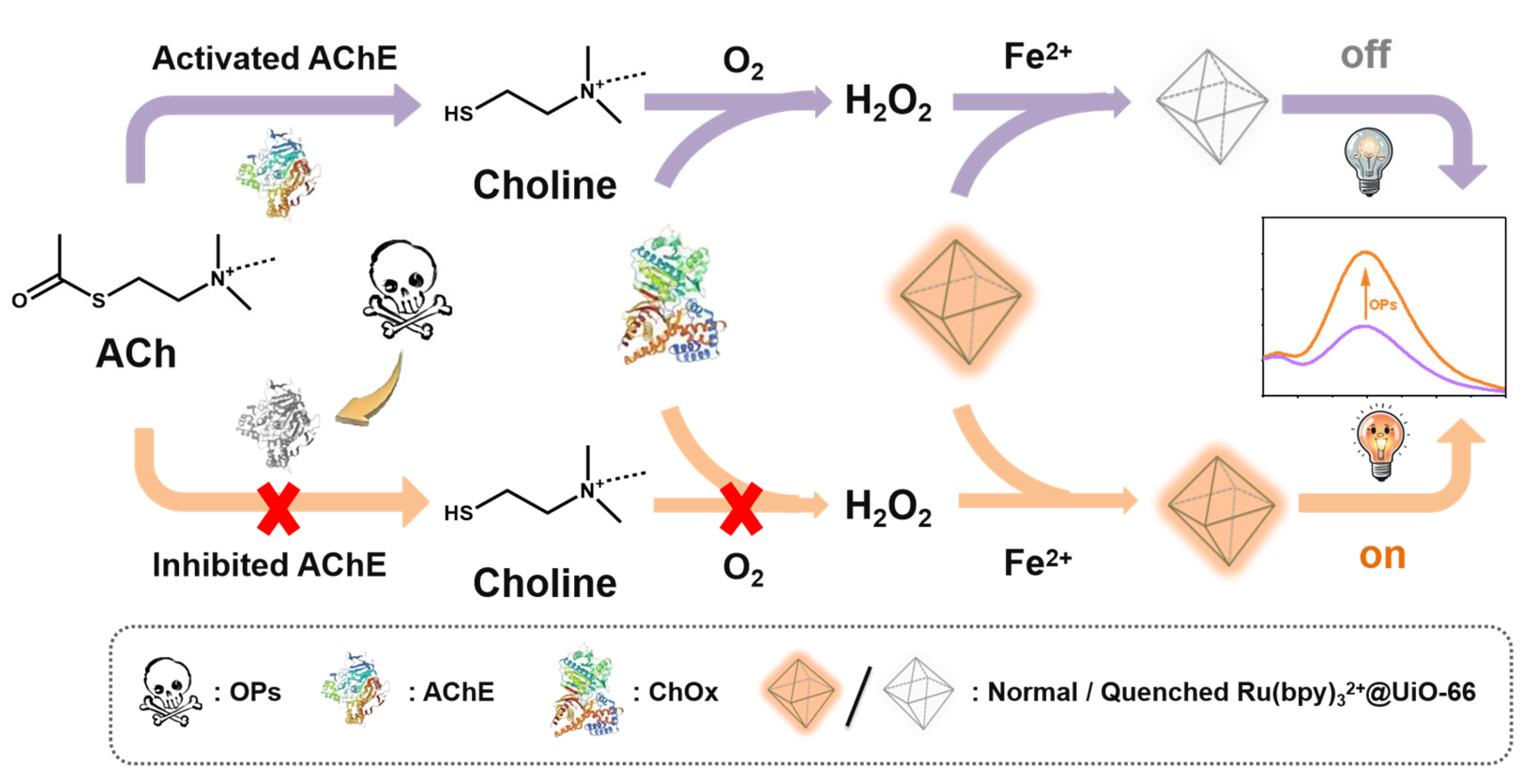Molecules 30 03130 sch001