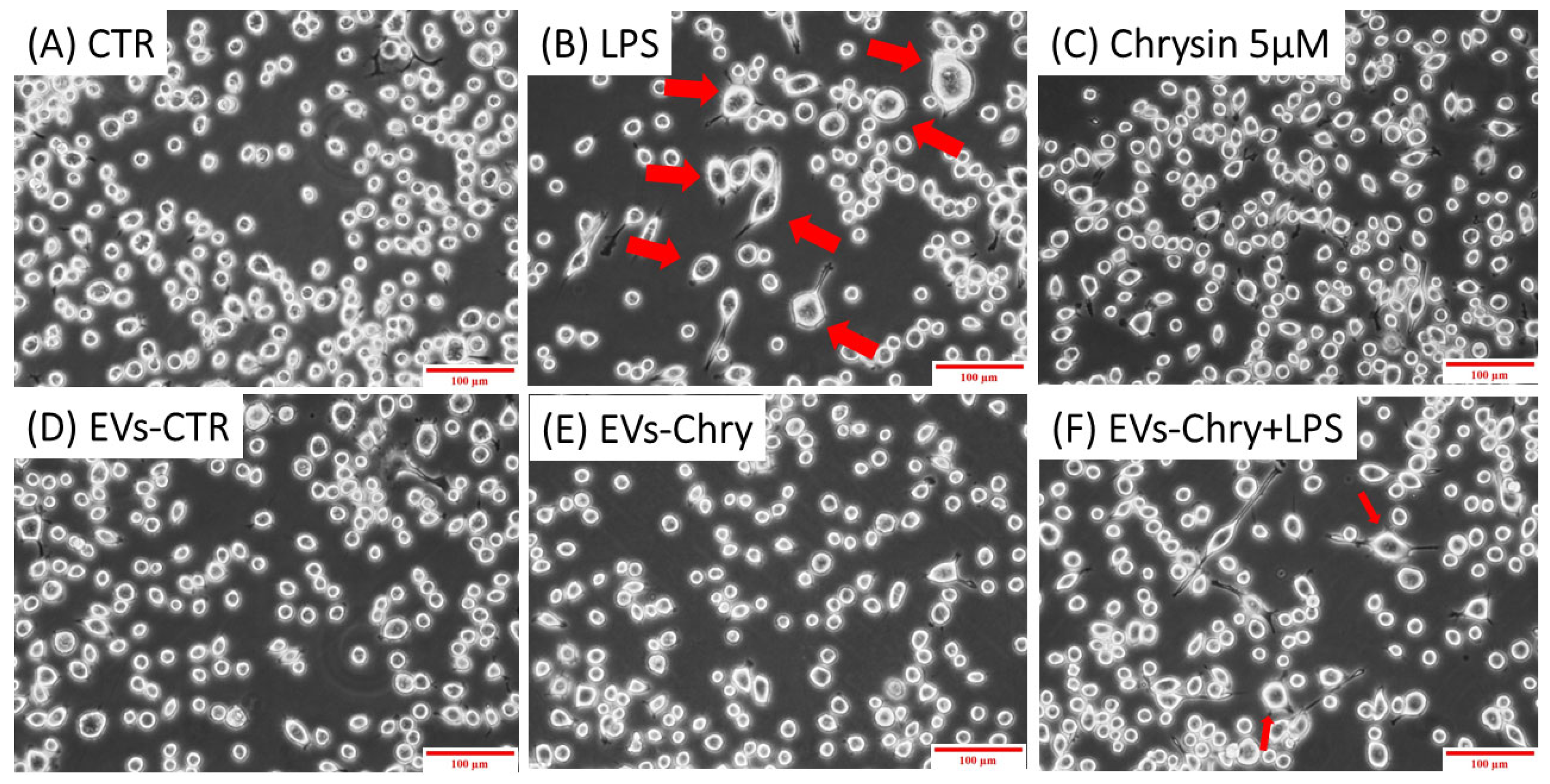 Molecules 30 03131 g004