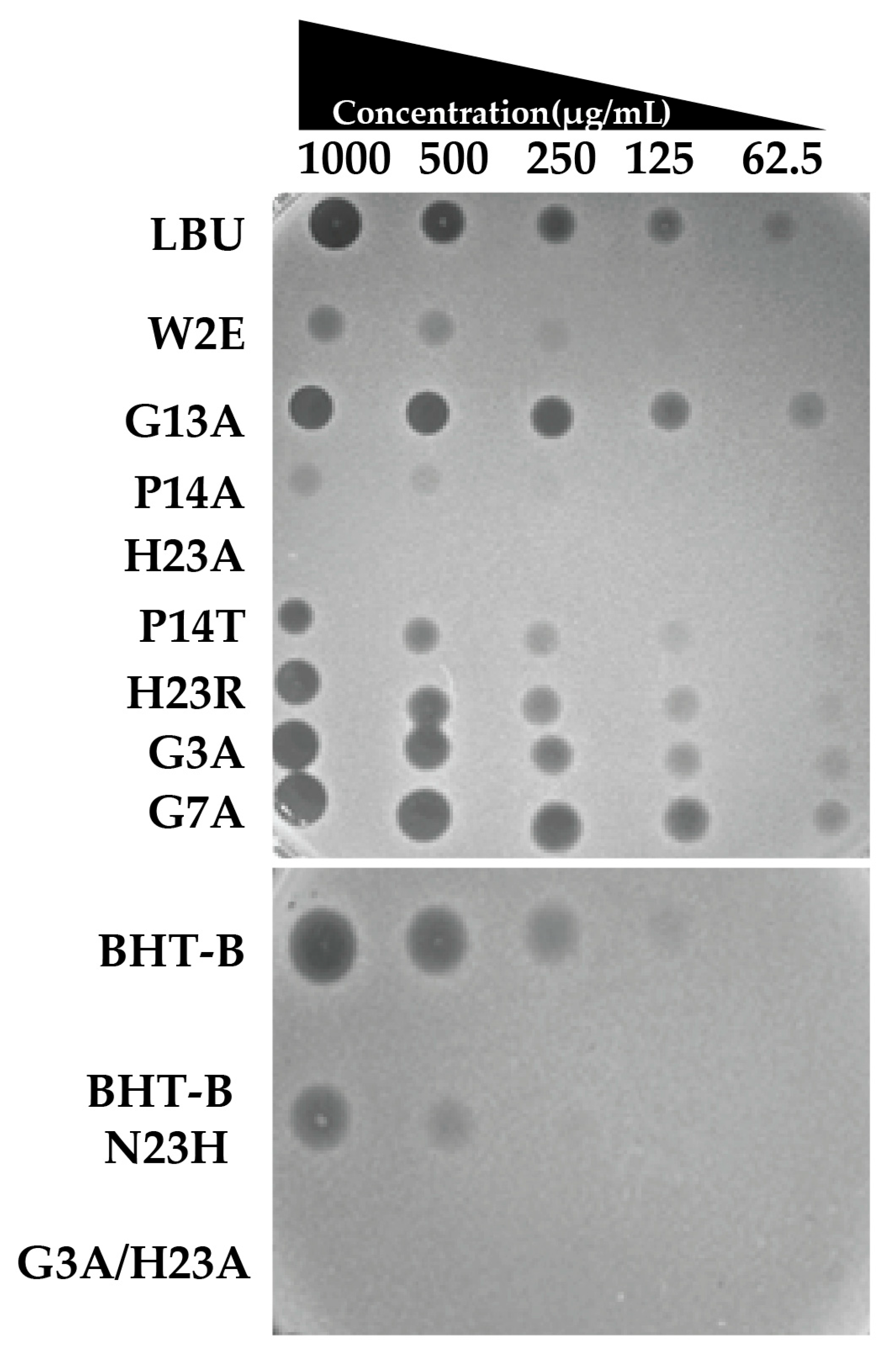 Molecules 30 03134 g002 Molecules 30 03134 g002