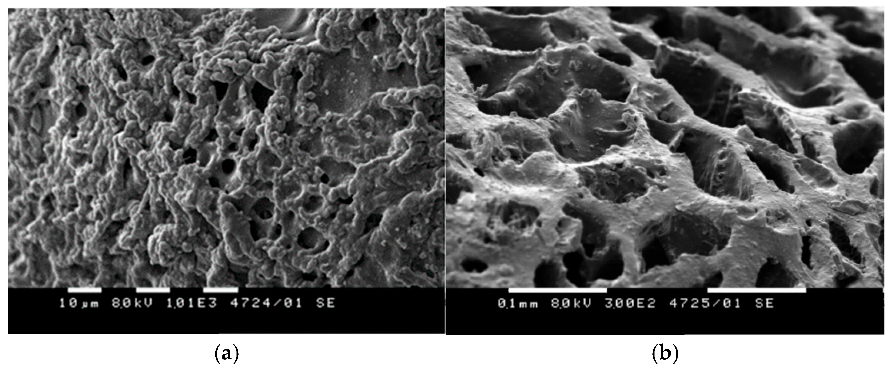 Molecules 30 03140 g006