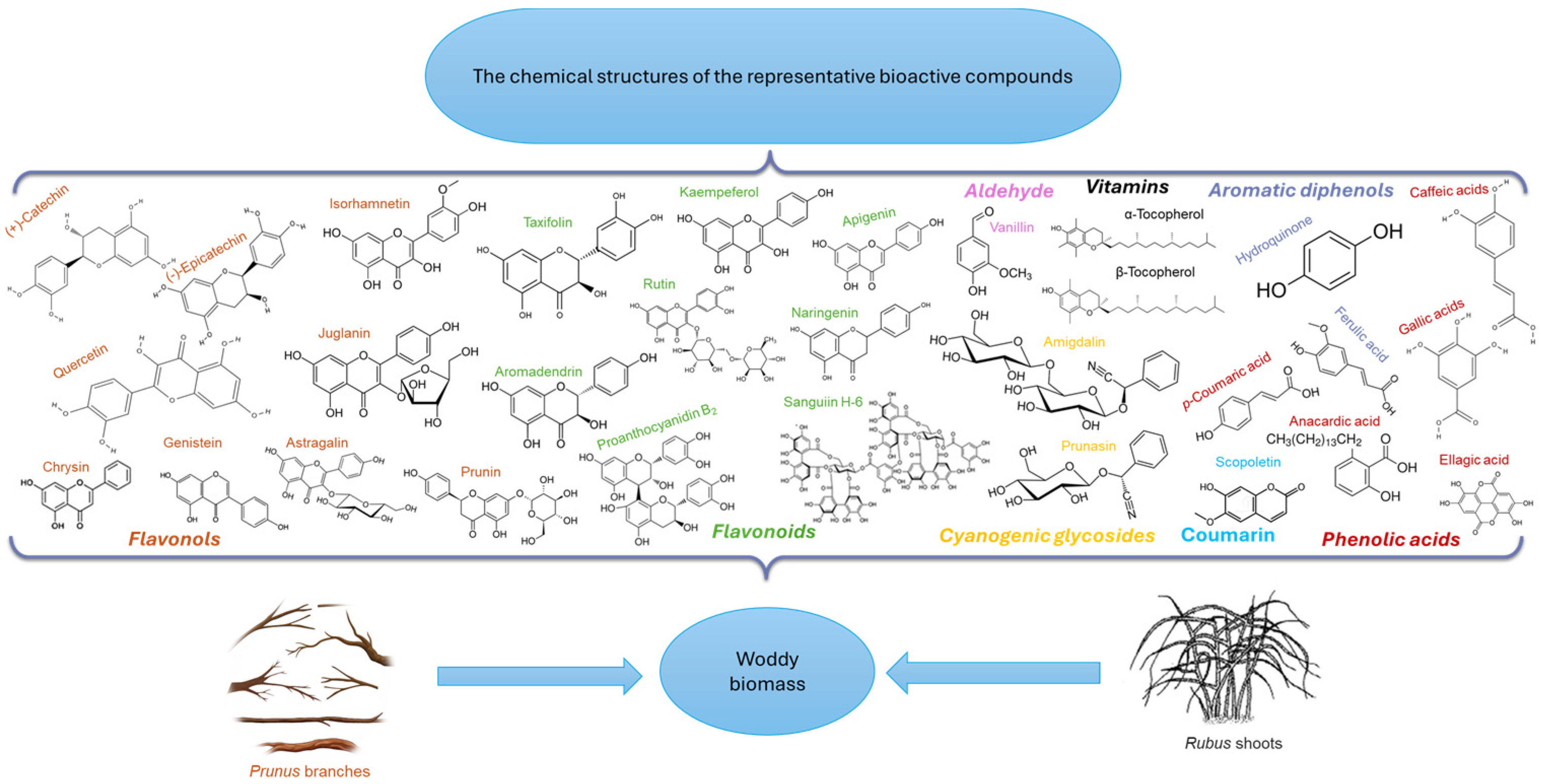 Molecules 30 03144 g002