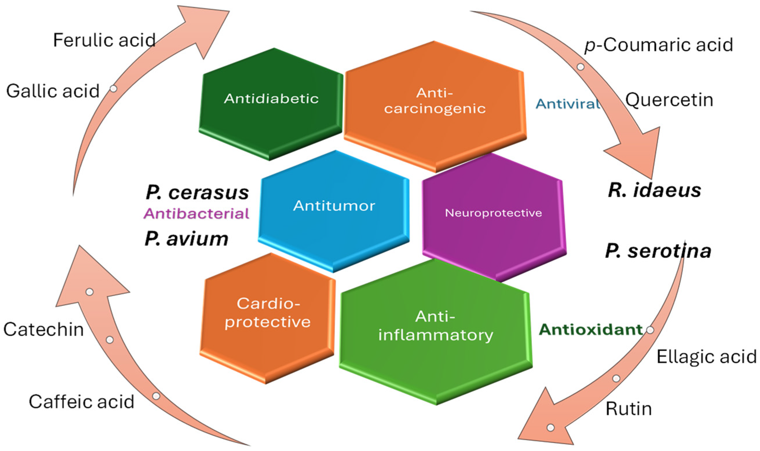 Molecules 30 03144 g003