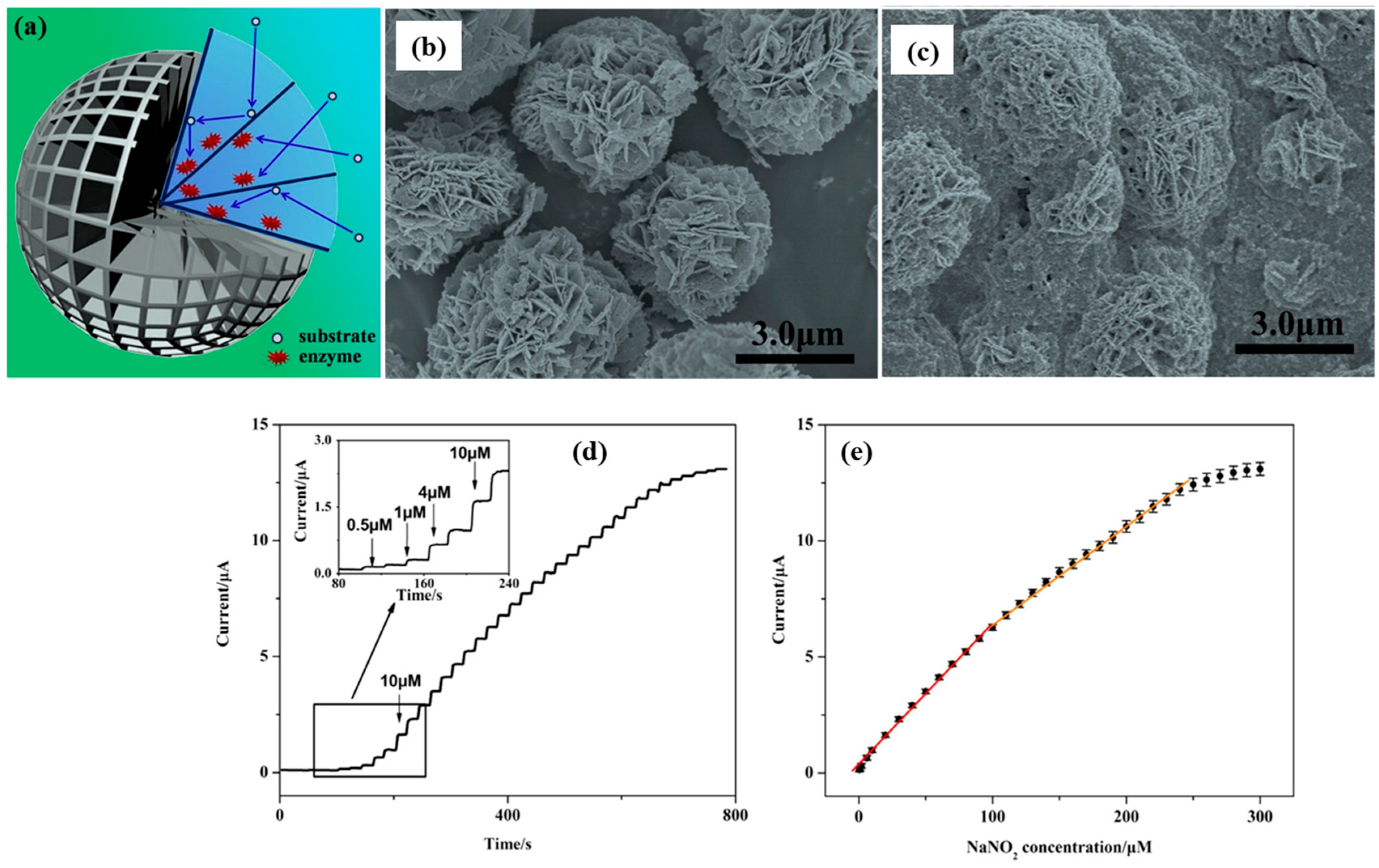 Molecules 30 03149 g001