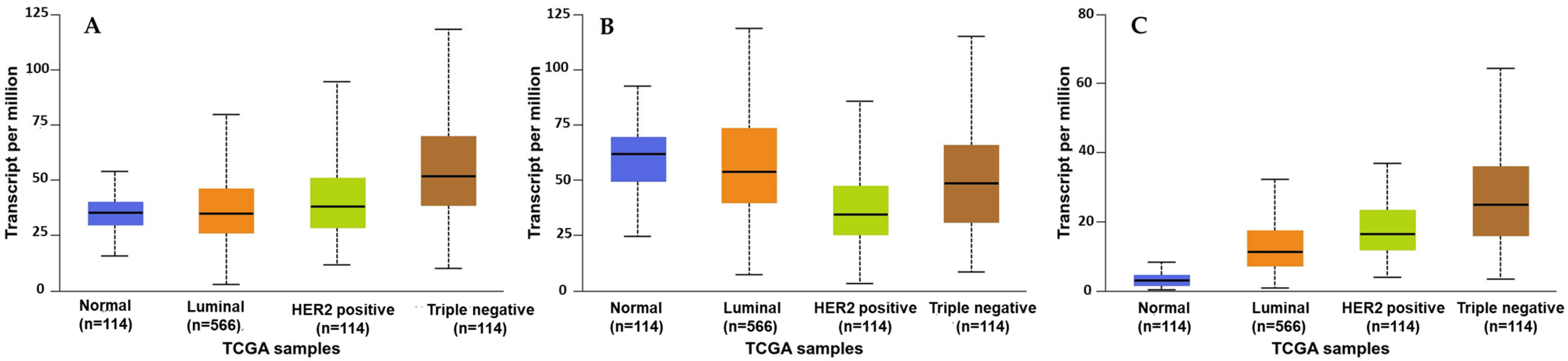 Molecules 30 03157 g001