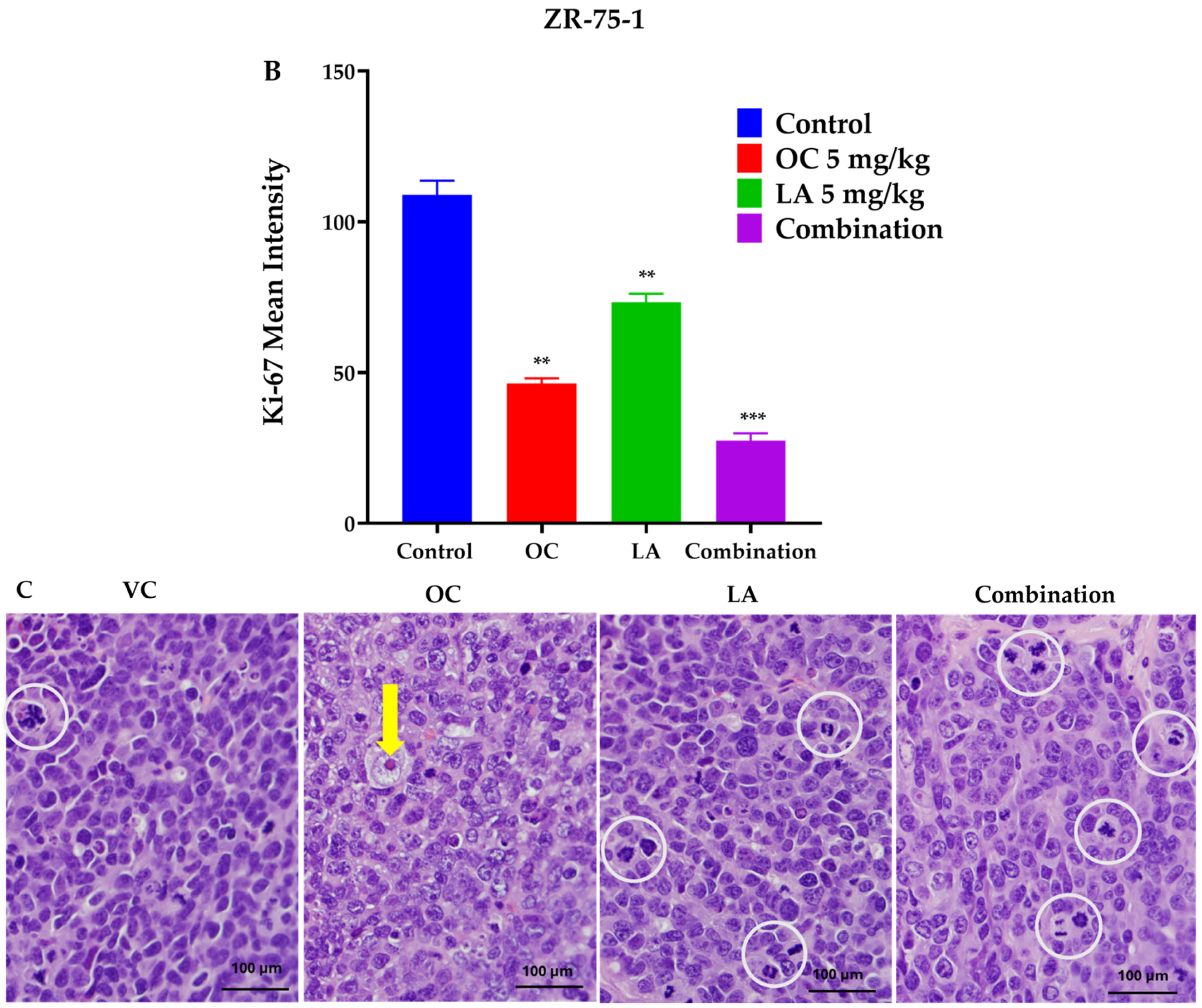 Molecules 30 03157 g006b