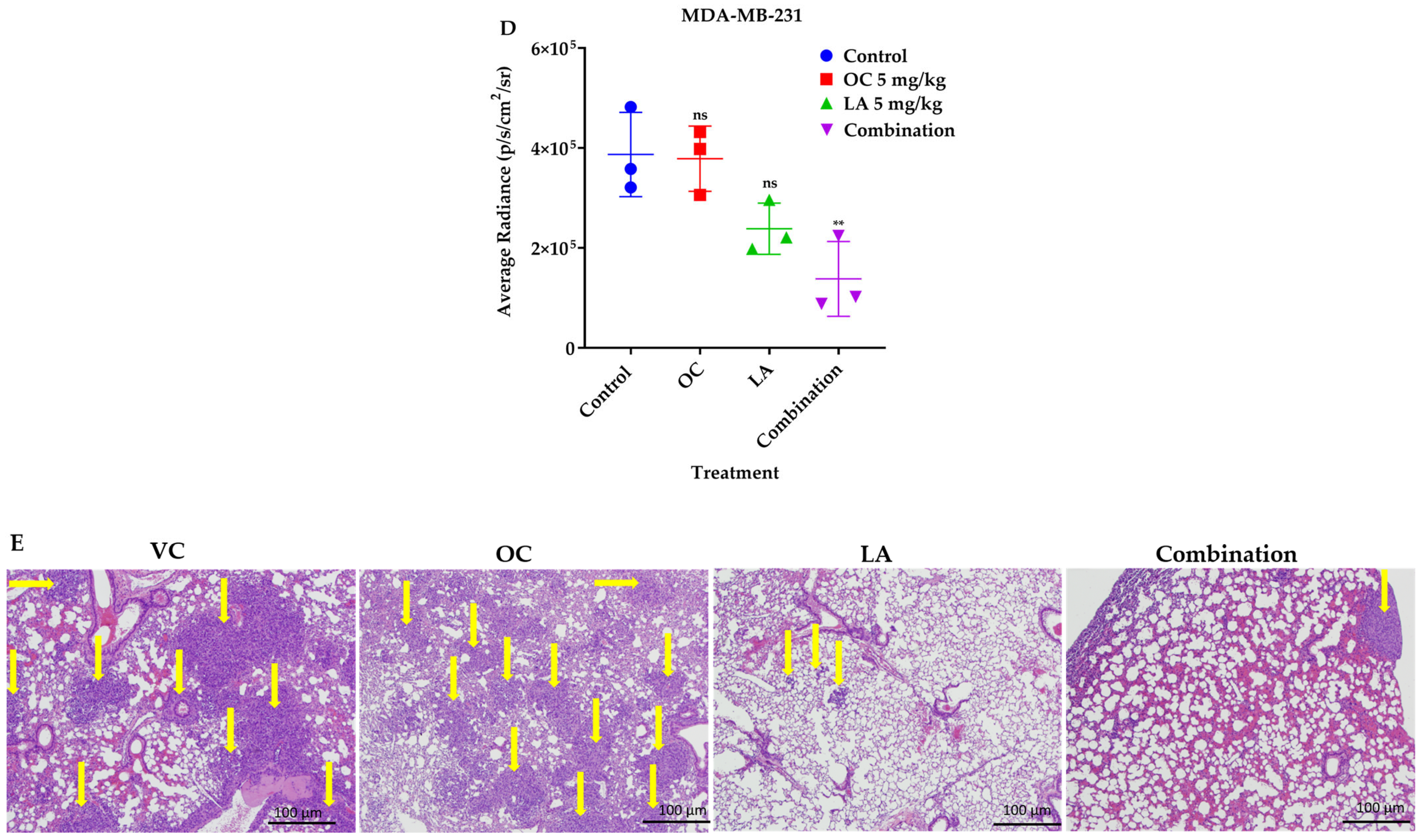 Molecules 30 03157 g007b
