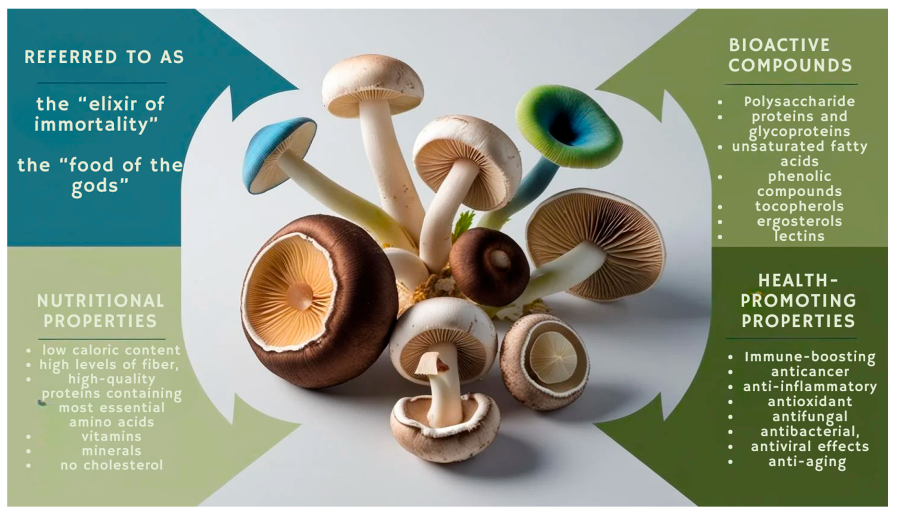 Molecules 30 03158 g001