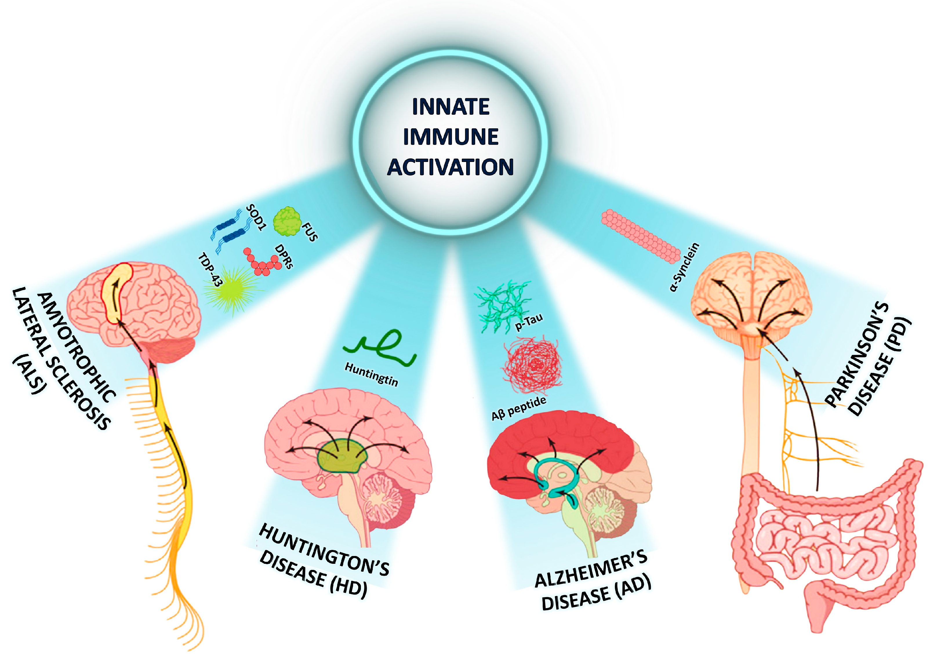 Molecules 30 03158 g002