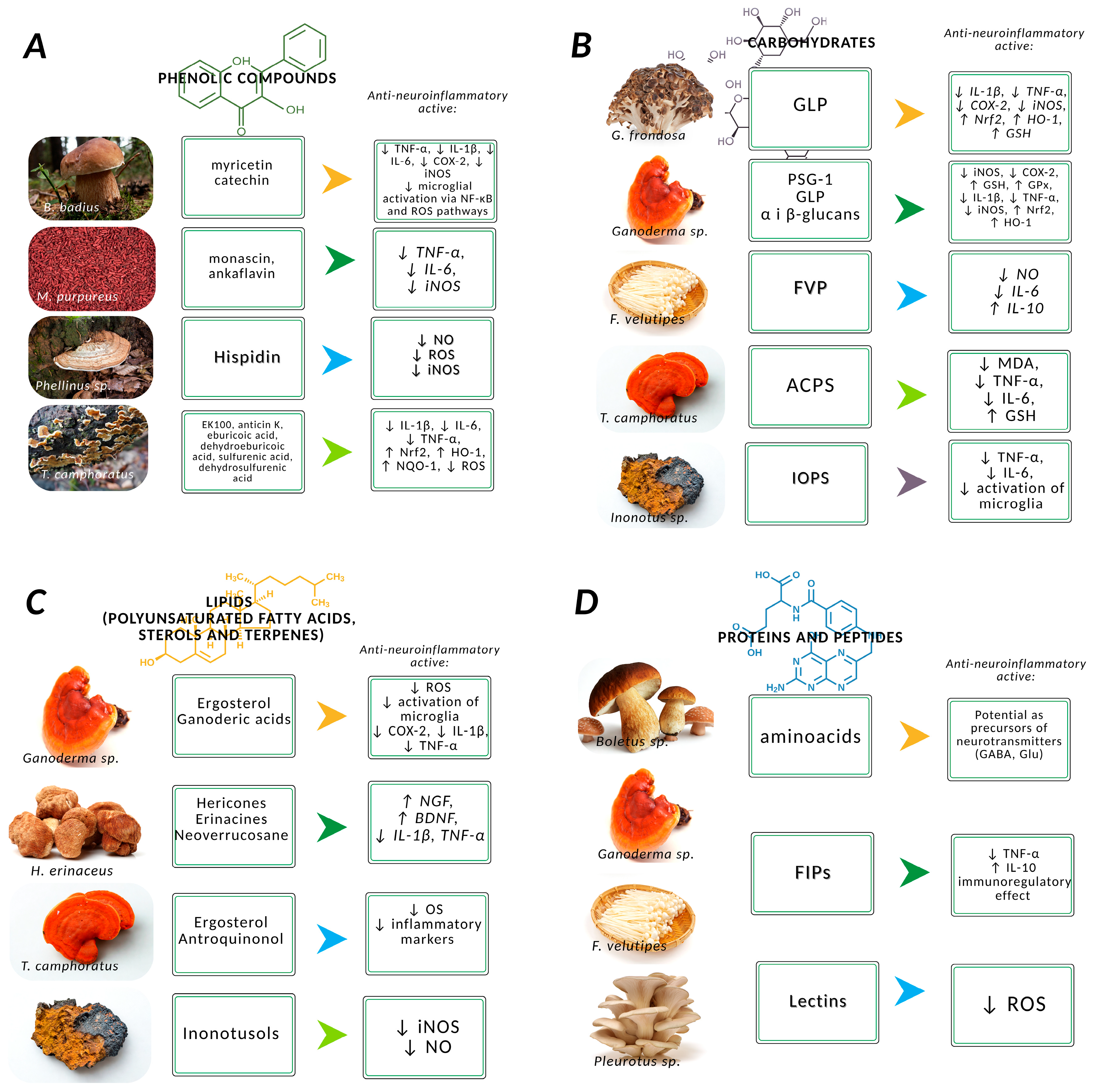 Molecules 30 03158 g003