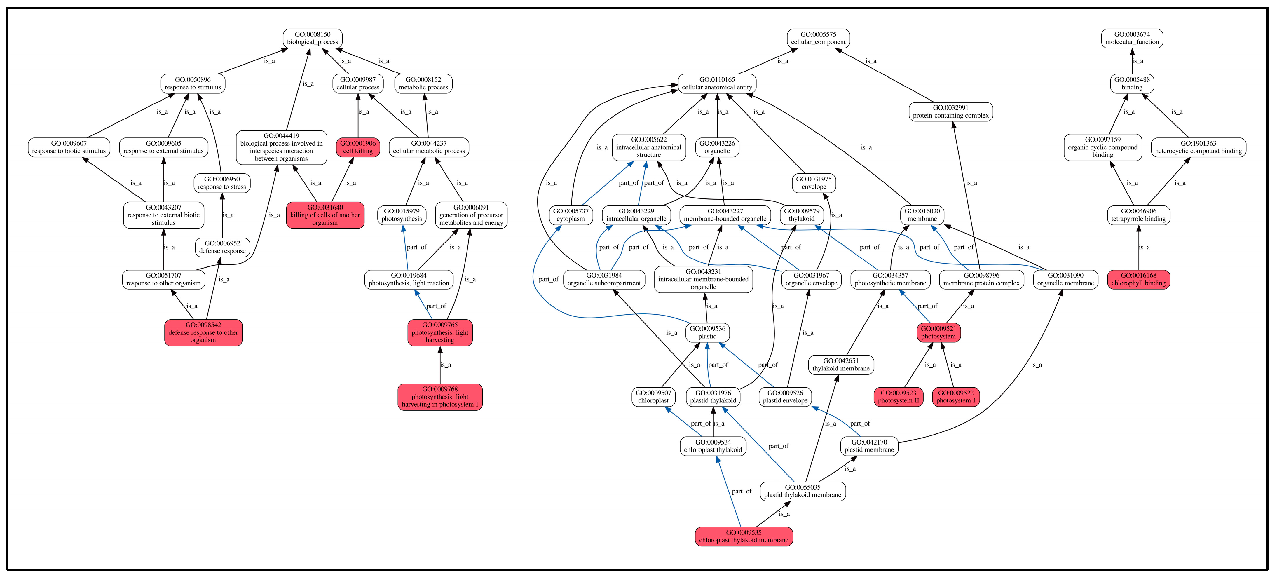 Molecules 30 03176 g008