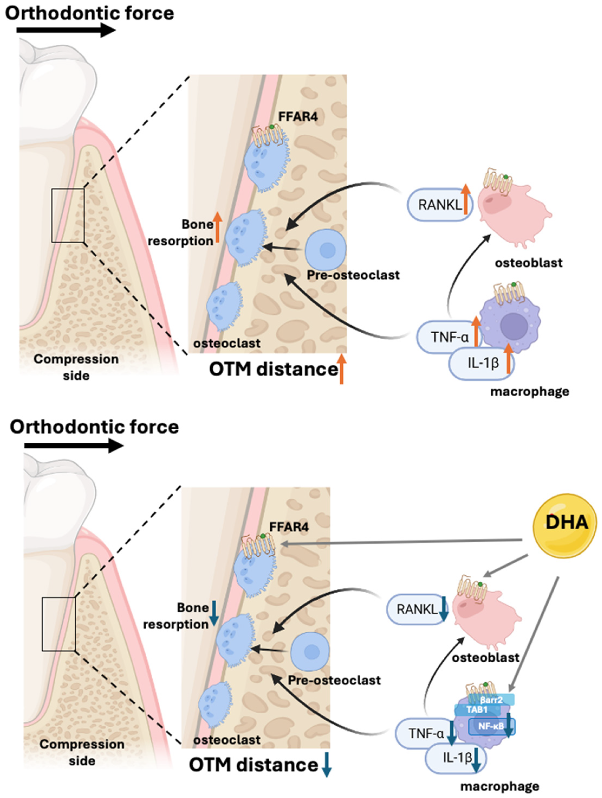 Molecules 30 03180 g001