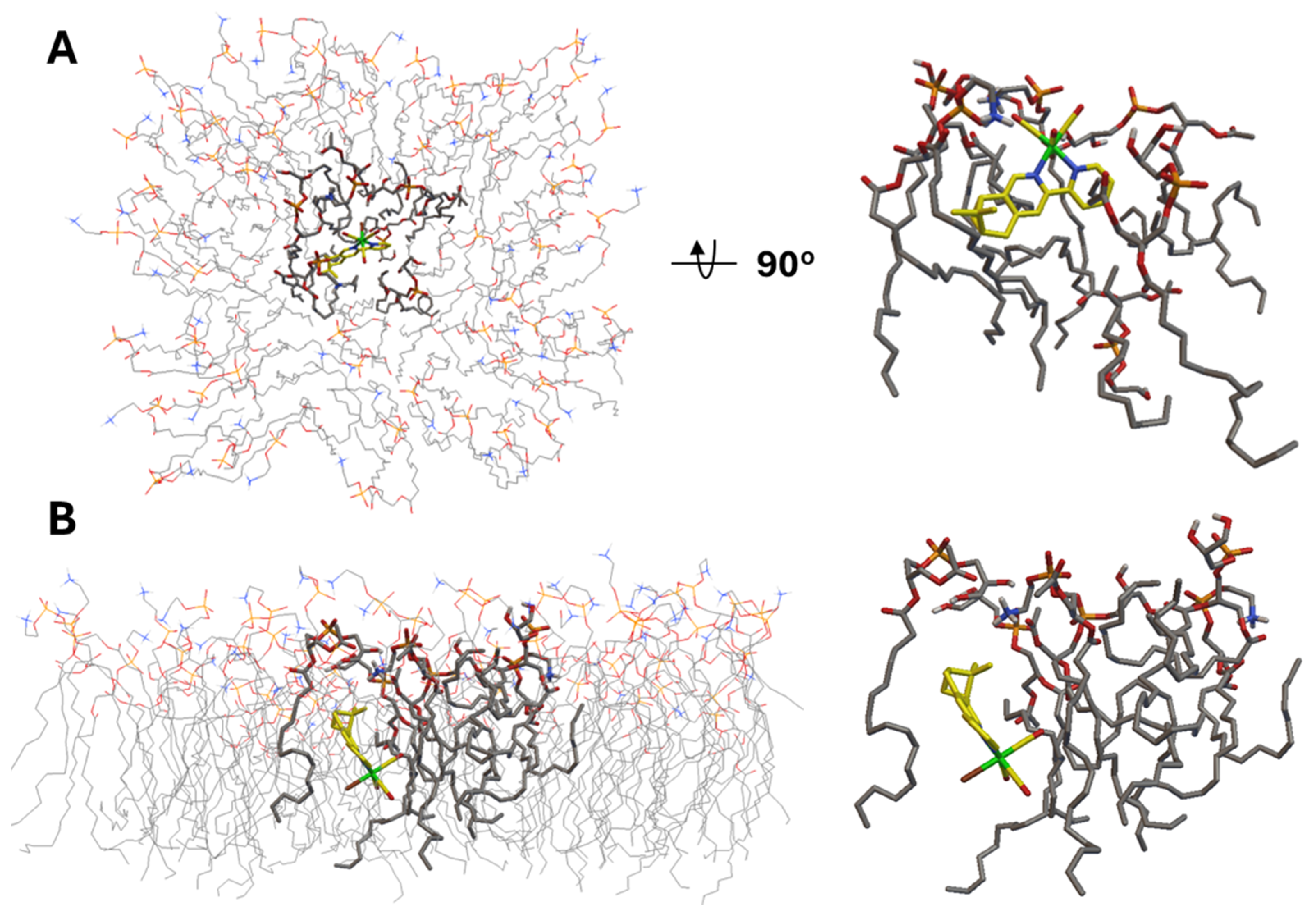 Molecules 30 03183 g007
