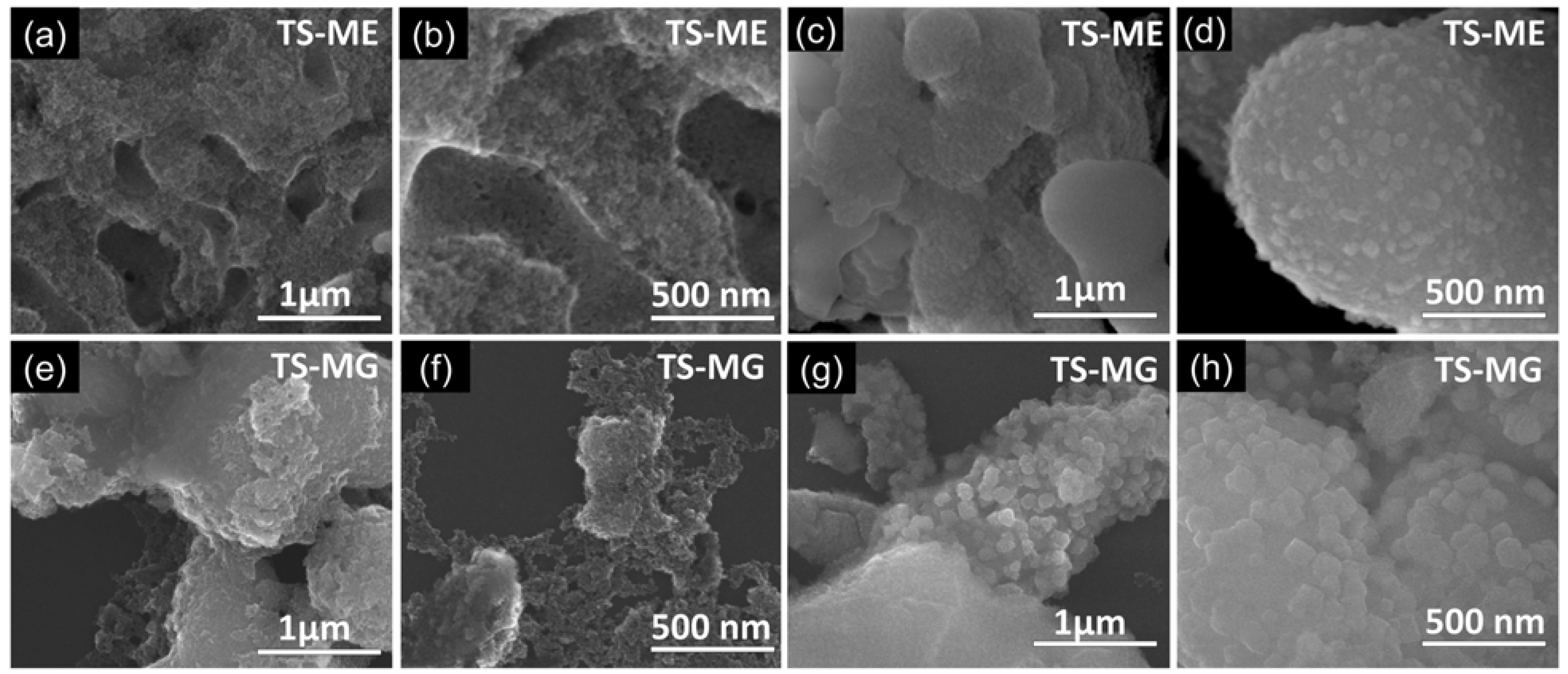 Molecules 30 03186 g004