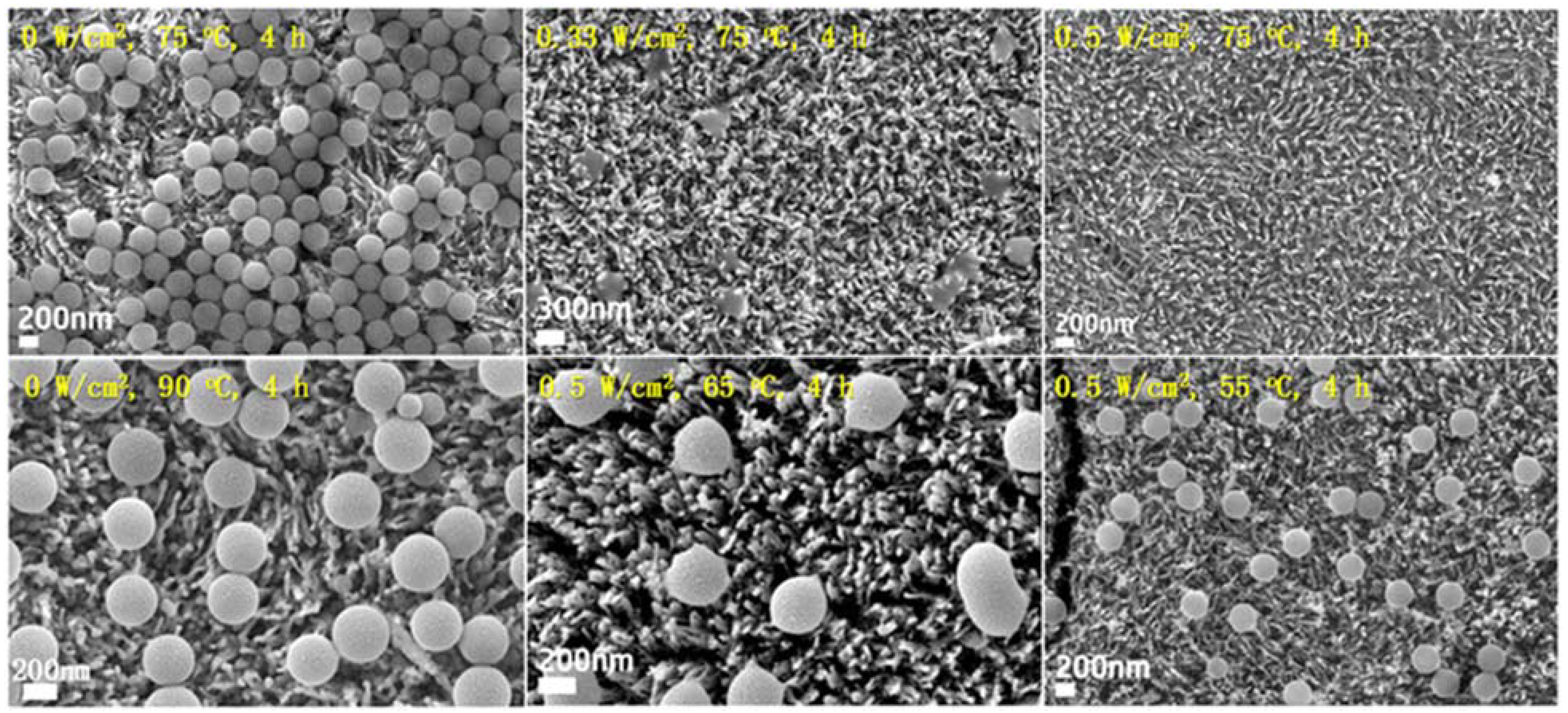 Molecules 30 03186 g009