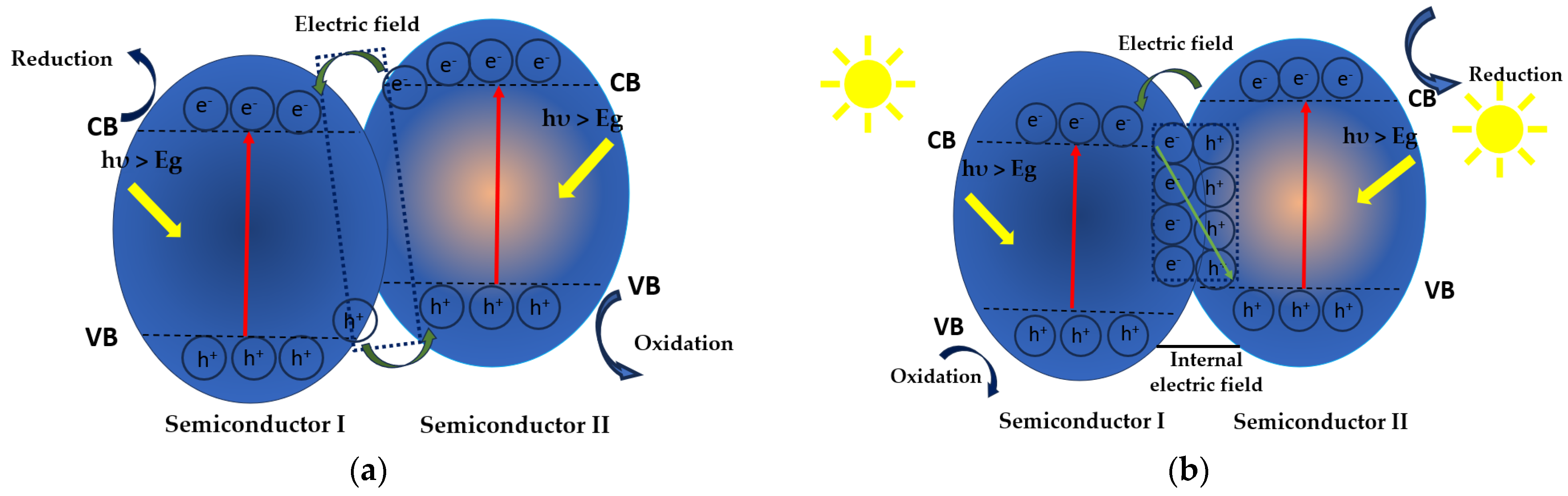 Molecules 30 03186 g012
