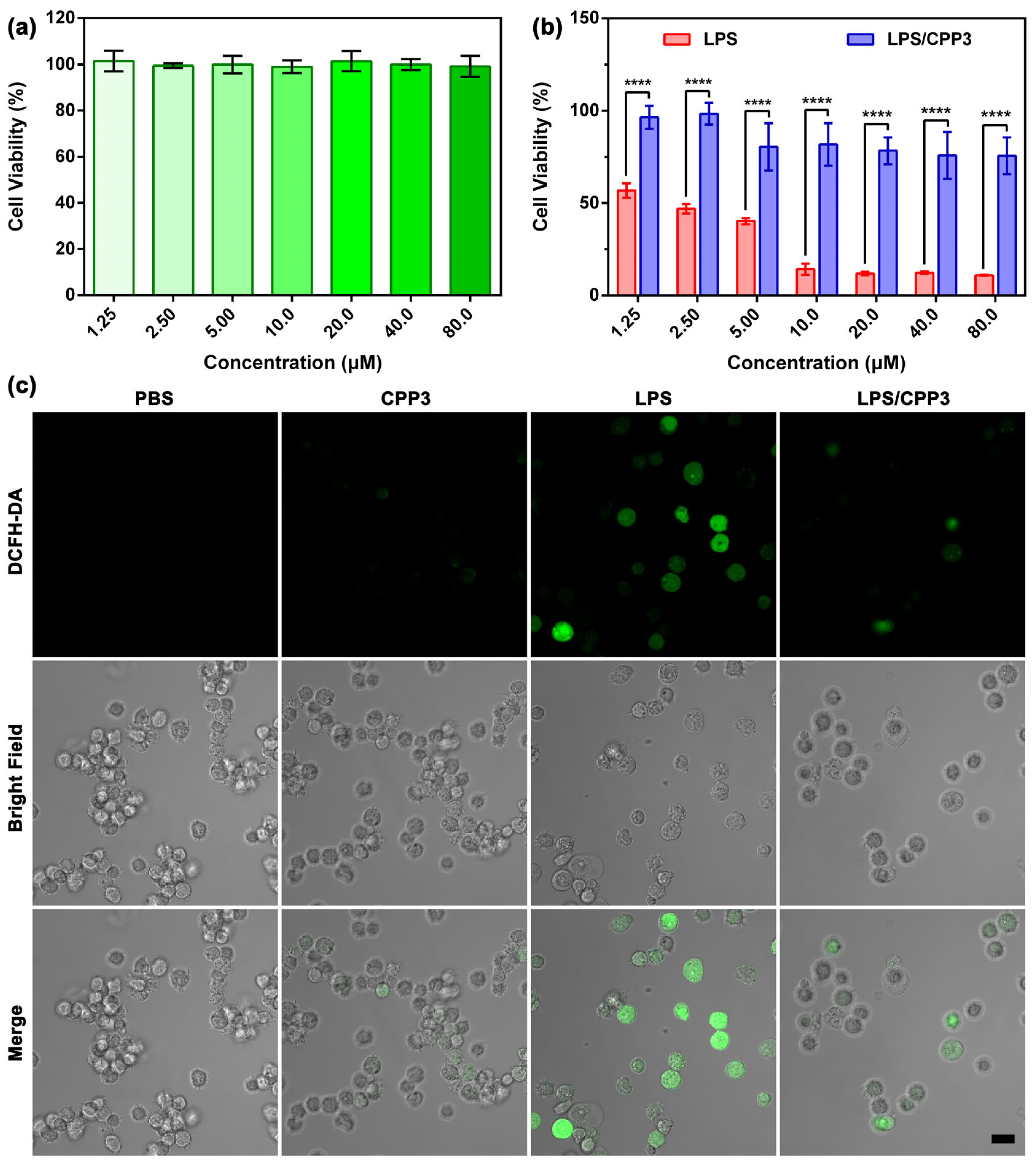 Molecules 30 03188 g002