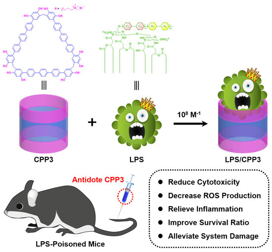 Supramolecular Detoxification Approach of Endotoxin Through Host