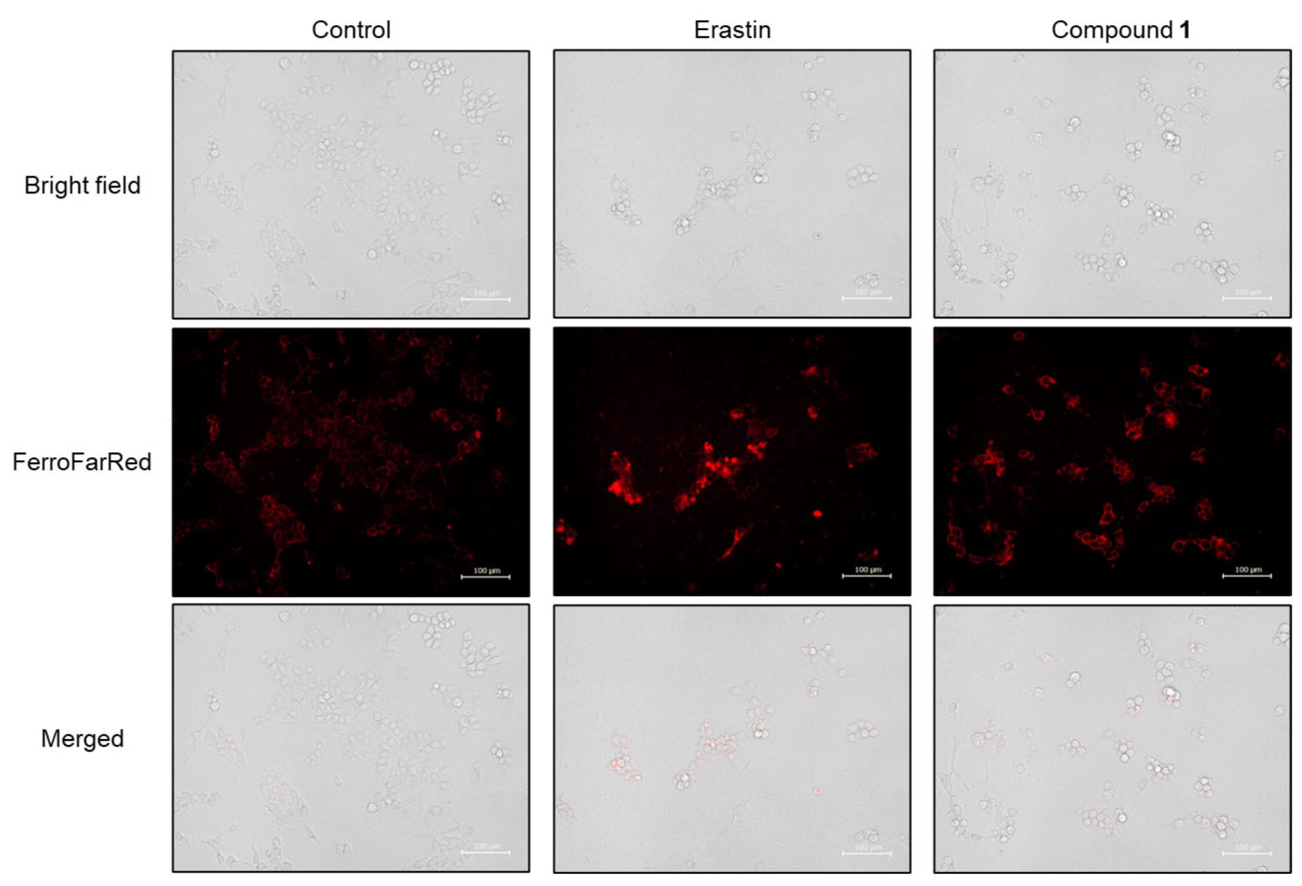 Molecules 30 03189 g013