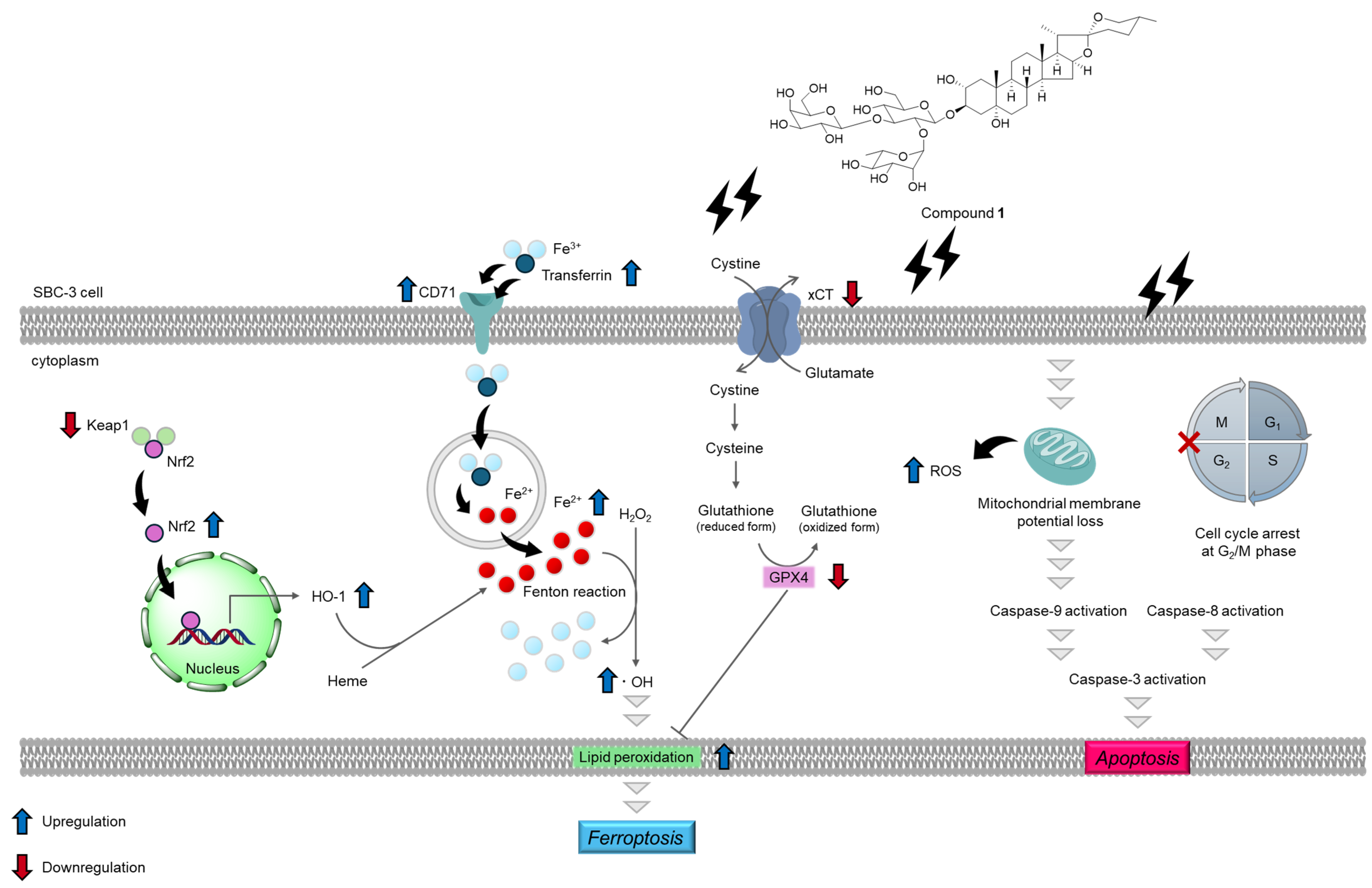 Molecules 30 03189 g015