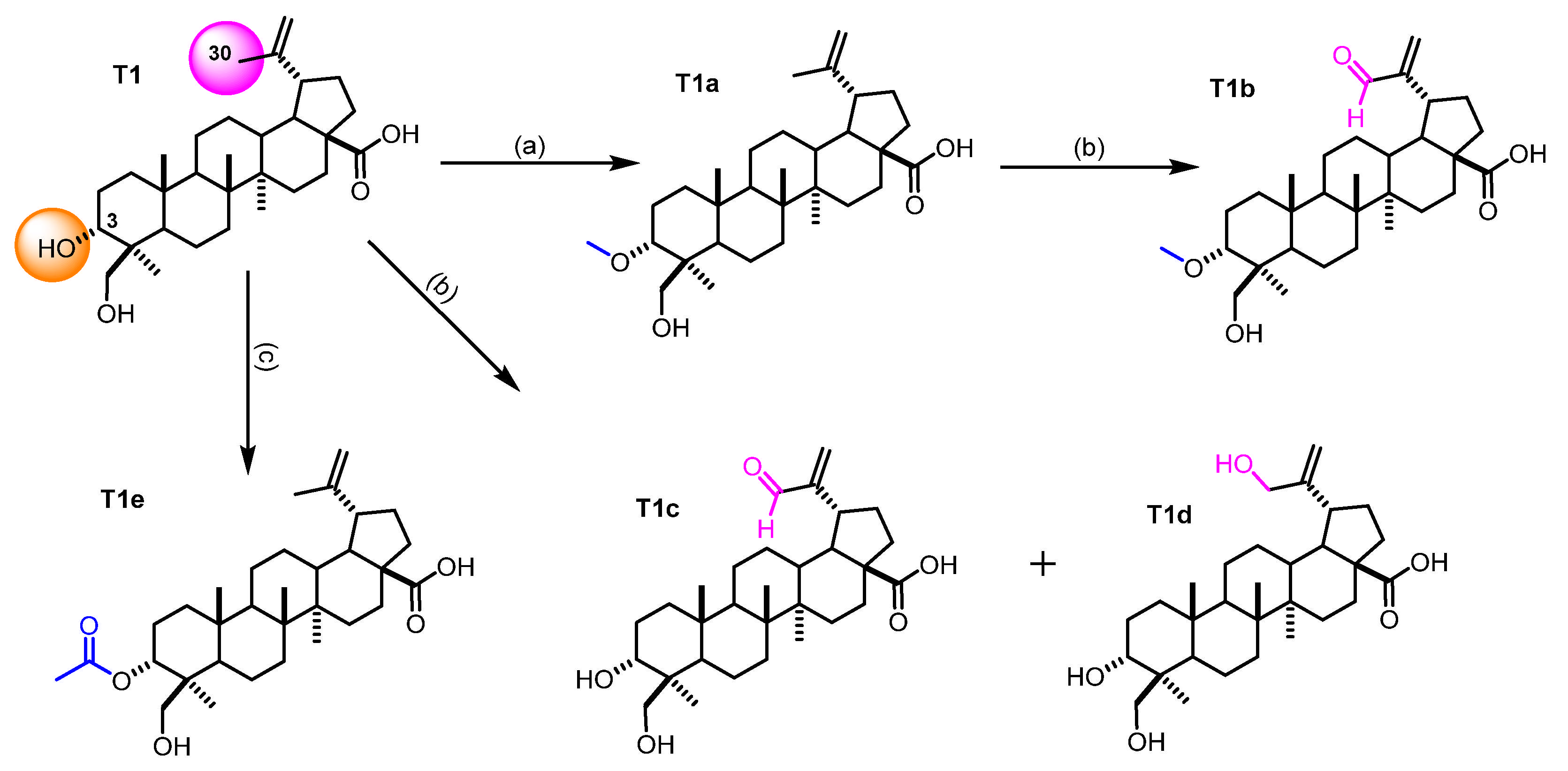 Molecules 30 03193 sch001