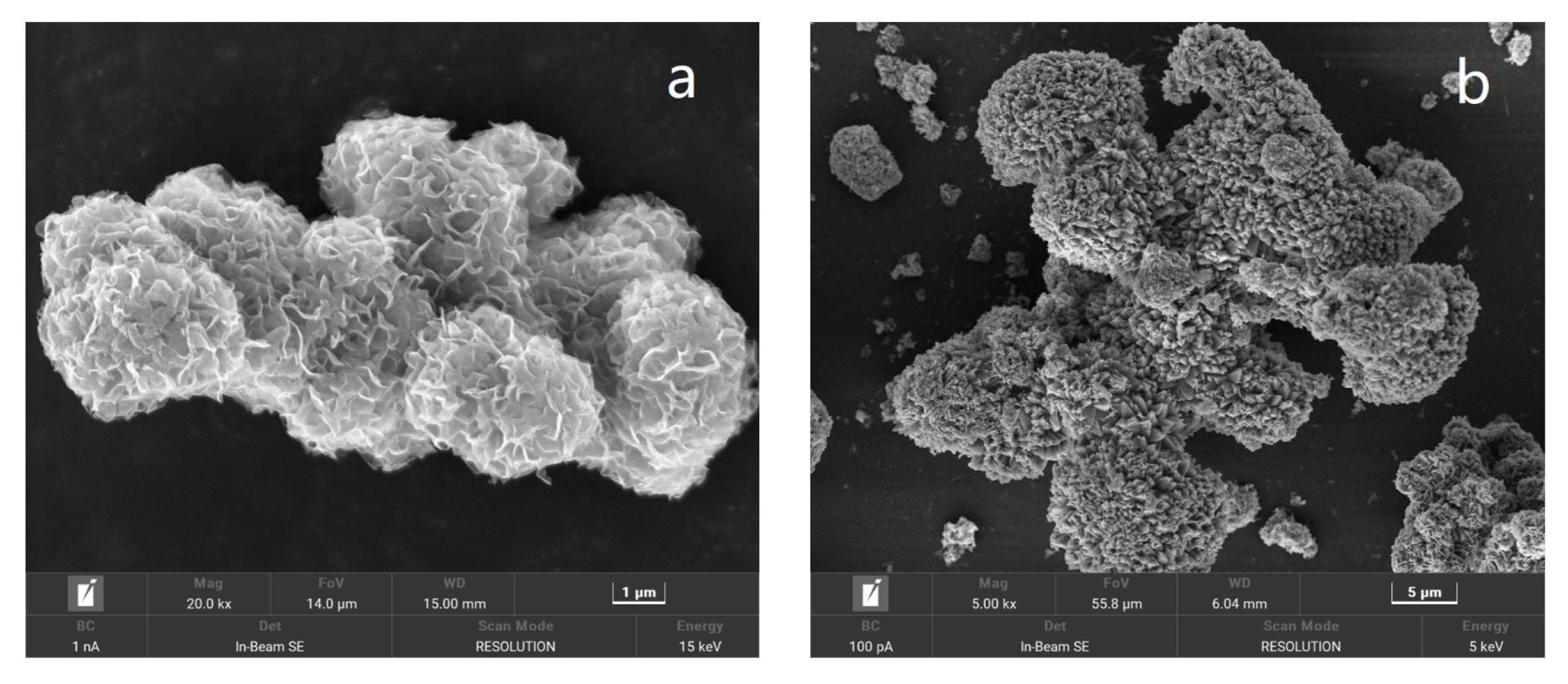 Molecules 30 03194 g002 Molecules 30 03194 g002